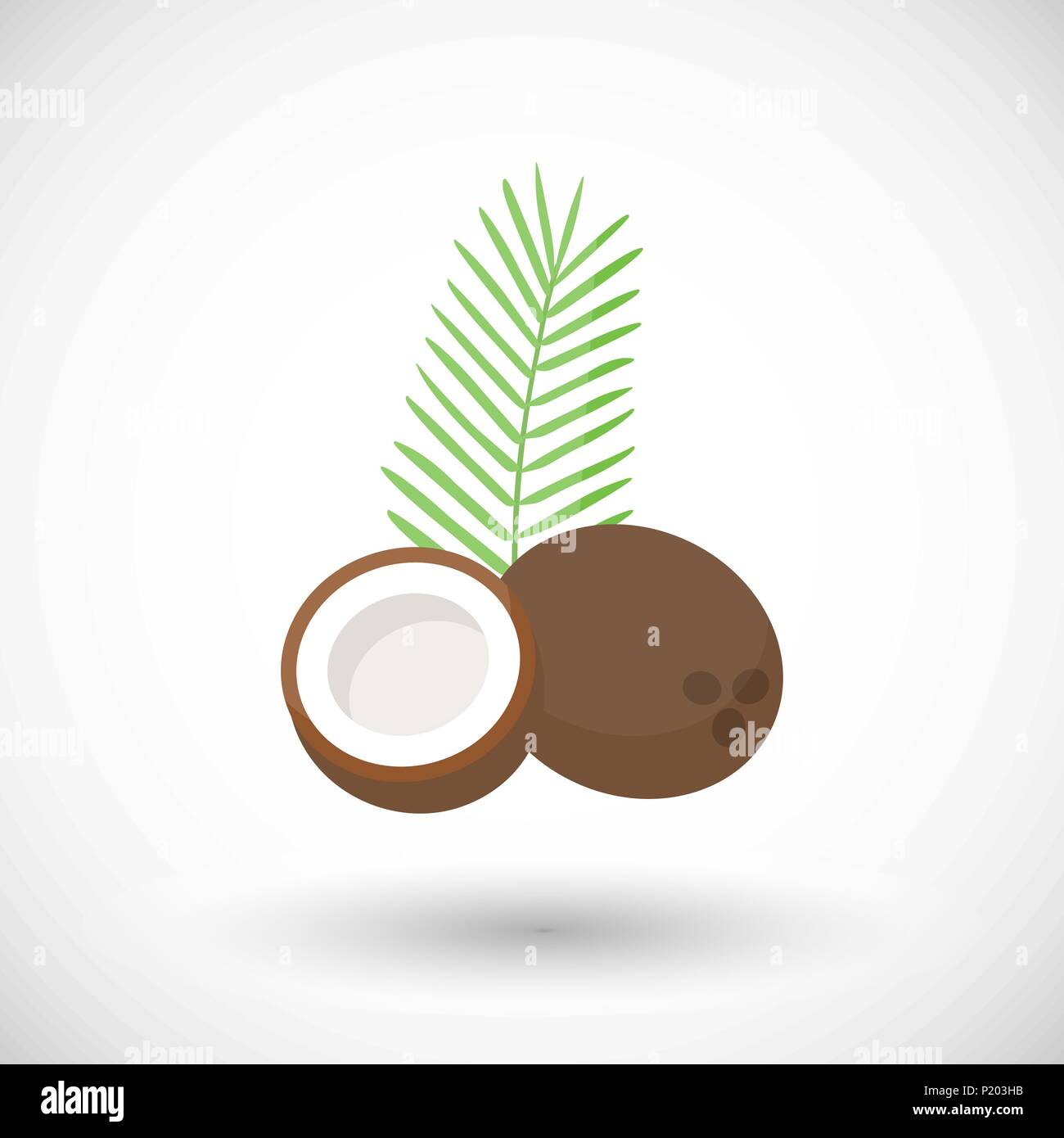 Coconut vektor Flachbild-Symbol, flache Ausführung von tropischen exotische Früchte mit runden Schatten auf weißem Hintergrund, Vector Illustration Stock Vektor