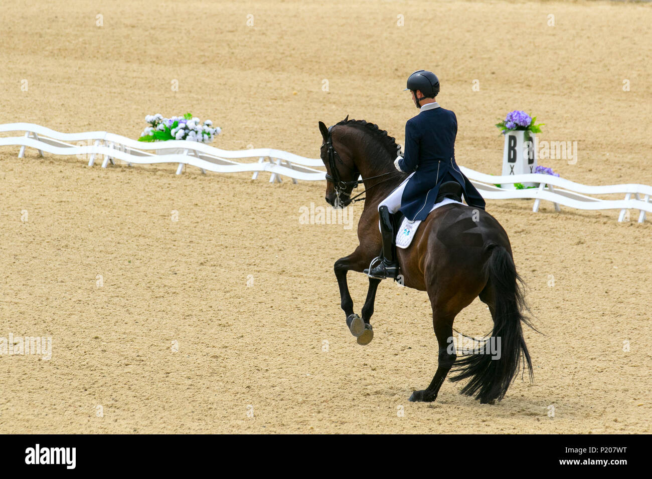 Bolesworth, Cheshire. 13.06.2018. Sonna Murray Brown GBR, Luft an der Schildknappe Bolesworth Erlentanz International Horse Show. Kredit MediaWorldImages/AlamyLiveNews. Stockfoto