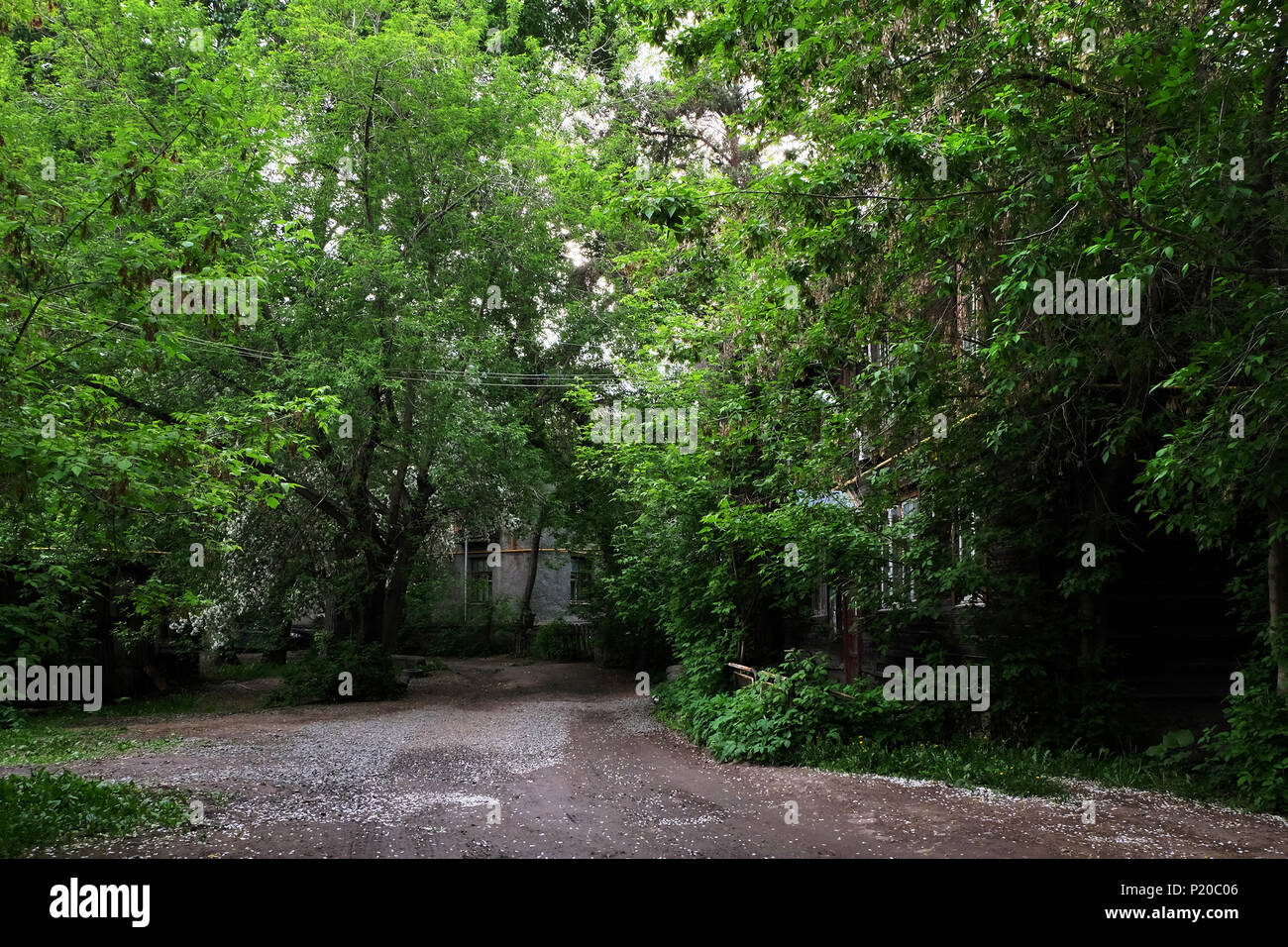 Alte Stadt Straße unter grünen Bäumen, Stockfoto