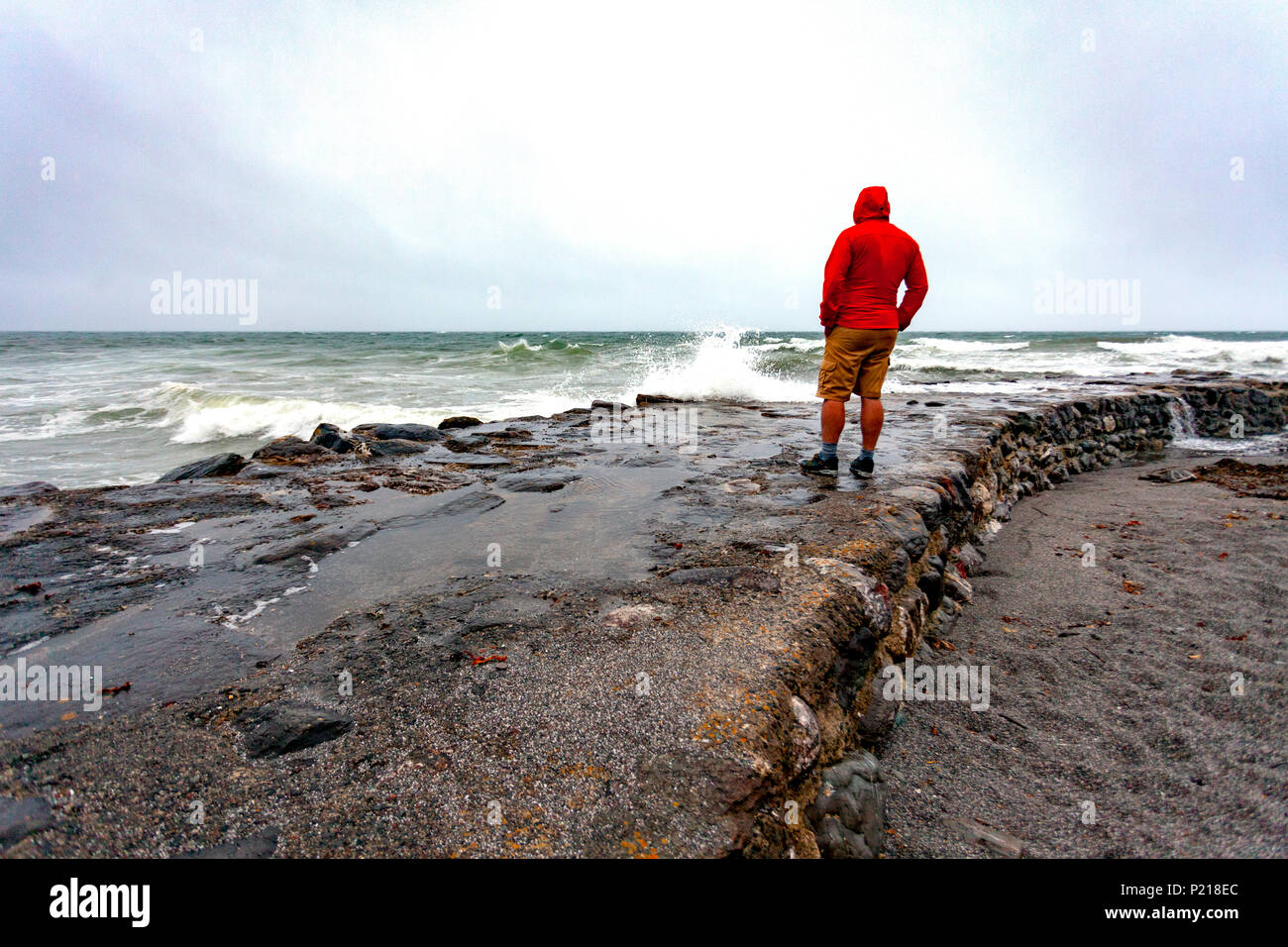 Rame Halbinsel, Cornwall, England, 14. Juni 2018. UK Wetter â € "das Met Office benannte Sturm, Sturm Hector stürzt in Großbritannien ungewöhnlich für diese Zeit des Jahres mit Windstärken von bis zu 70 mph. Sturm Hector stürzt in Cornwall mit starkem Wind und Gezeiten entlang der kornischen Küste in den Hafen von portwrinkle als Storm watcher Wellen Uhren Absturz über die hafenmauer, Cornwall Â© DGDImages/AlamyNews Stockfoto