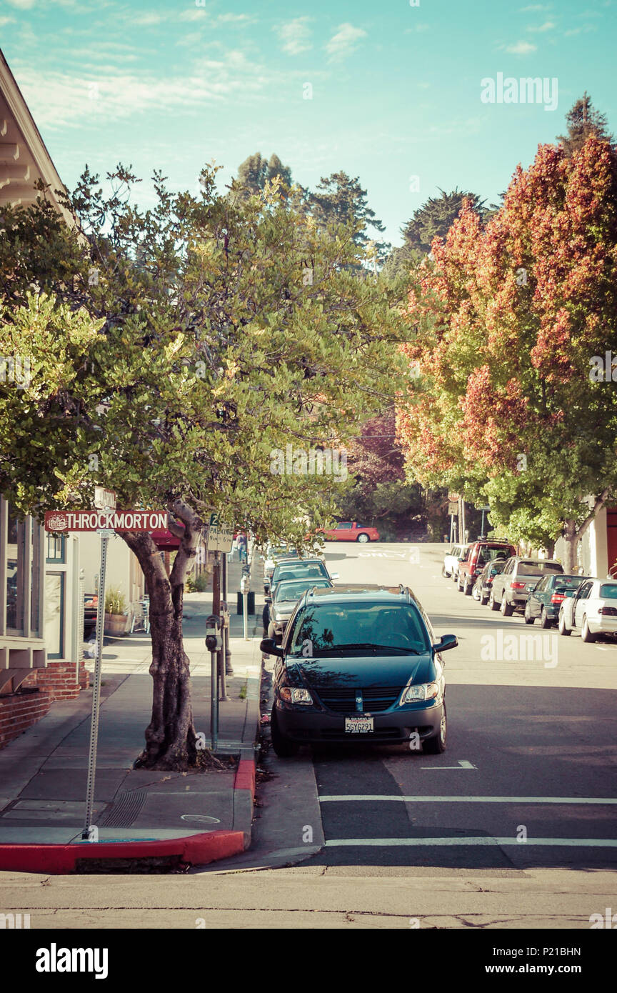 Malerische, von Bäumen gesäumten Straße mit einer Reihe von Autos und Straßenschild in Mill Valley, Marin County, einer kleinen Stadt in der Bucht von San Francisco. Sonnigen Tag, warmen Farbtönen und blauer Himmel, mit einigen kopieren. Stockfoto