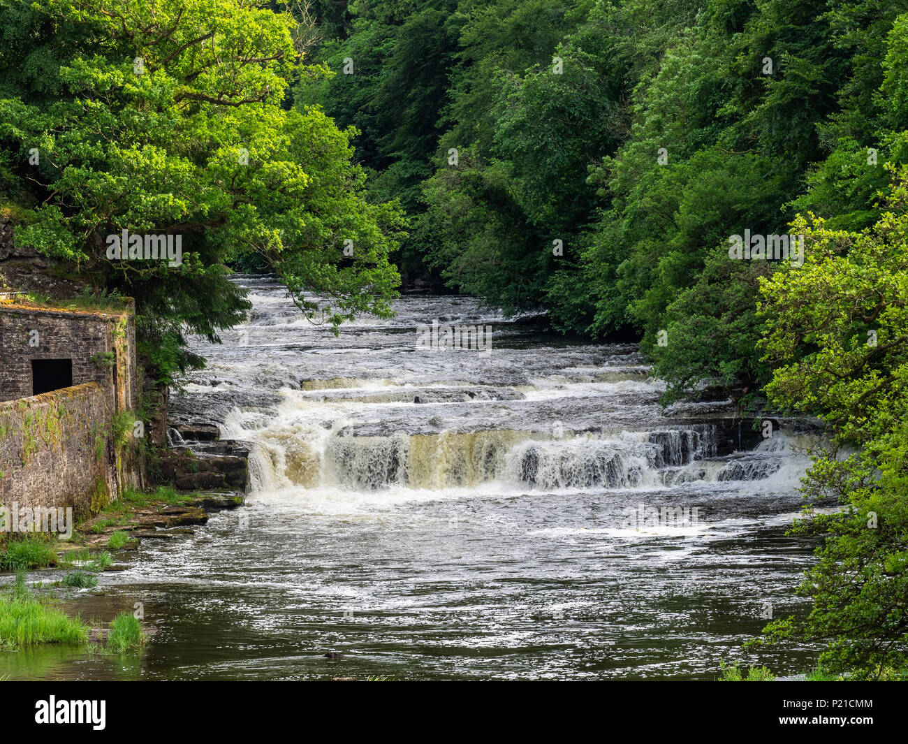 Wasserfälle an der New Lanark Weltkulturerbe eine einzigartige Mühle Dorf aus dem 18. Jahrhundert neben dem malerischen Fluss Clyde in Schottland sitzen Stockfoto