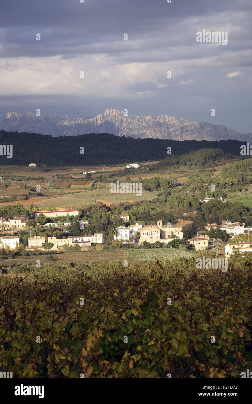 Spanien - Katalonien - Alt Penedés (Bezirk) - Barcelona. Torrelavit; del Pueblo y viñedos con Montaña de Montserrat al fondo Vista. Stockfoto