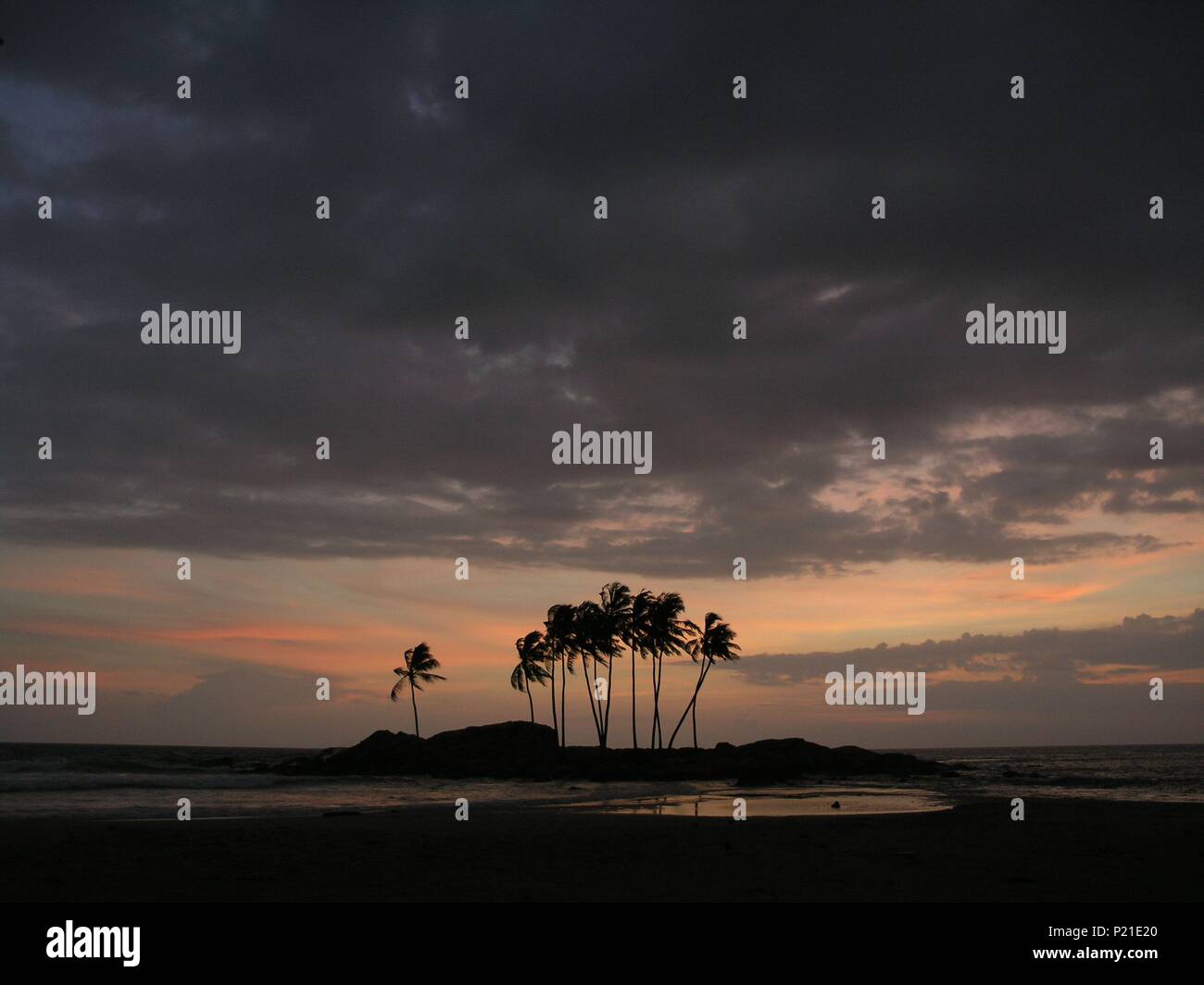 Original Film Titel: DIE DRITTE WELLE. Englischer Titel: DIE DRITTE WELLE. Regisseur: ALISON THOMPSON. Jahr: 2007. Credit: endlose Filme/Bilder/OZON WALKABOUT PRODUKTIONEN/KRIEGER P/Album Stockfoto