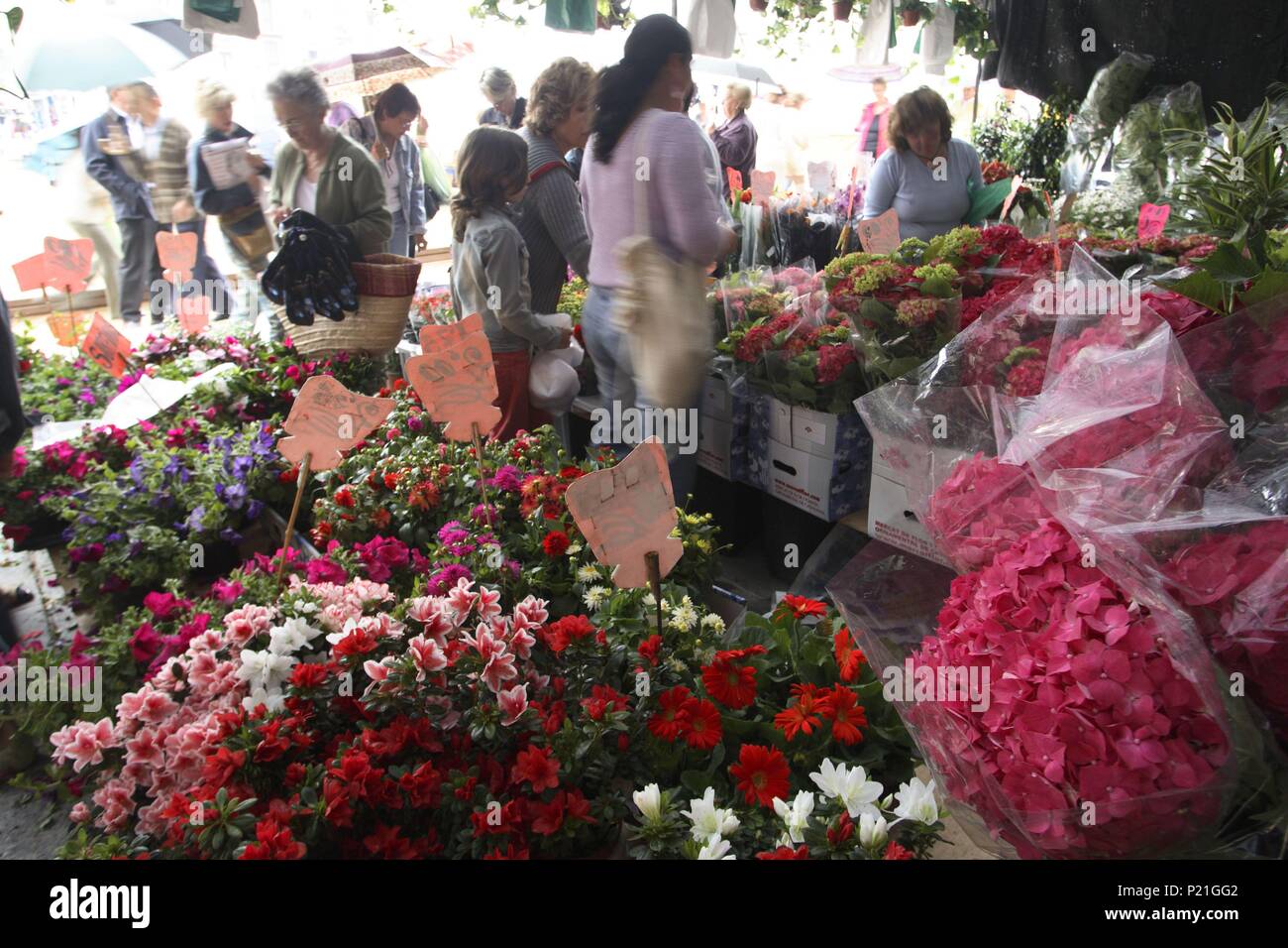 Spanien - Katalonien - Osona (Bezirk) - Barcelona. Vic; Plaza Mayor/Plaça Major; tenderete de Venta de Flores. Stockfoto