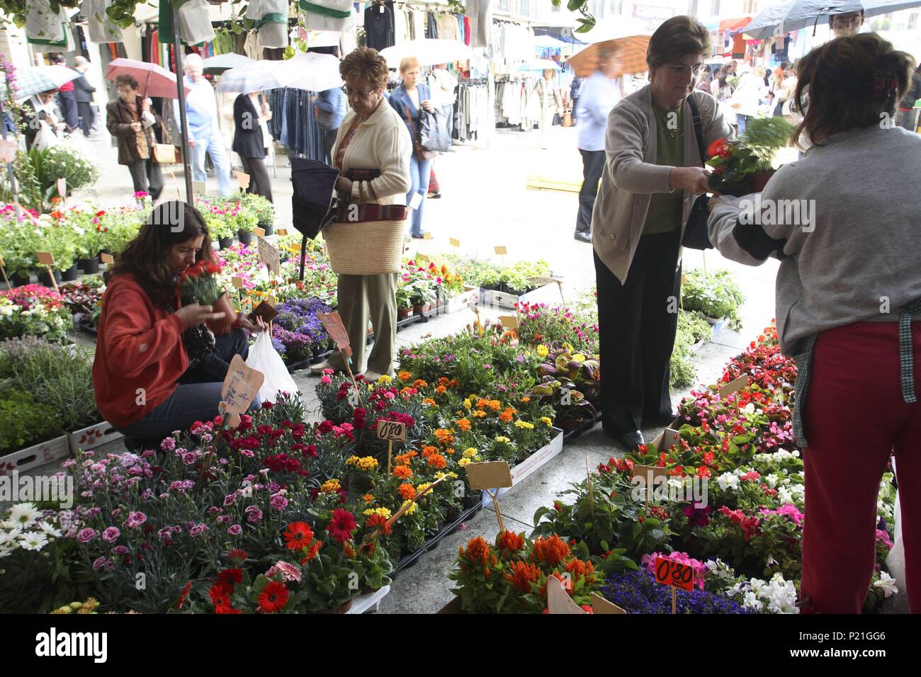 Spanien - Katalonien - Osona (Bezirk) - Barcelona. Vic; Plaza Mayor/Plaça Major; tenderete de Venta de Flores. Stockfoto