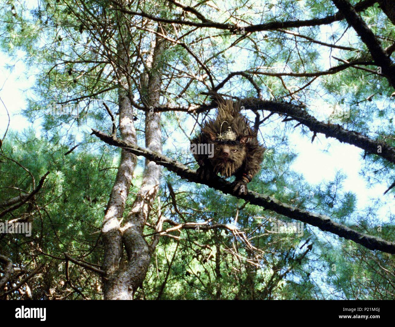 Original Film Titel: BRÜCKE NACH TERABITHIA. Englischer Titel: BRÜCKE NACH TERABITHIA. Film Regie: GABOR CSUPO. Jahr: 2007. Quelle: WALT DISNEY PICTURES/Album Stockfoto