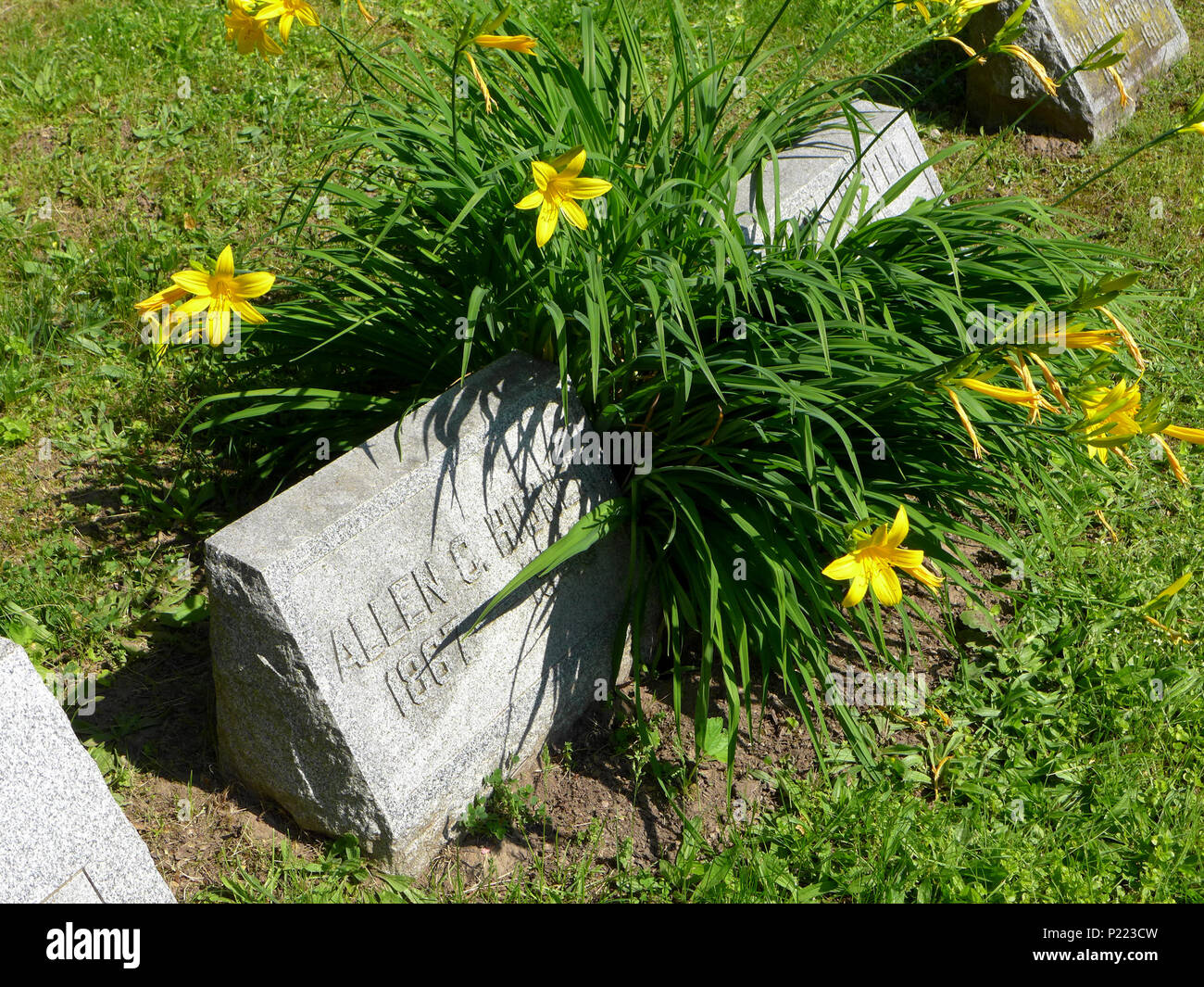 Grabsteine auf einem Hügel in Pittsford NY. Stockfoto