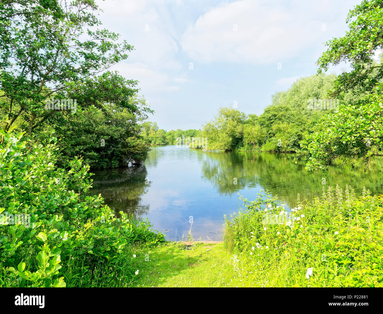 Üppige Vegetation umgibt einen kleinen, flachen, See. Bäume, Sträucher und Stauden sind in den Seen Oberfläche reflektiert. Stockfoto