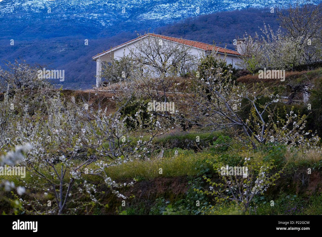 Ländliche Landschaft Landschaft im Valle del Jerte Tal in der Extremadura in Spanien Stockfoto