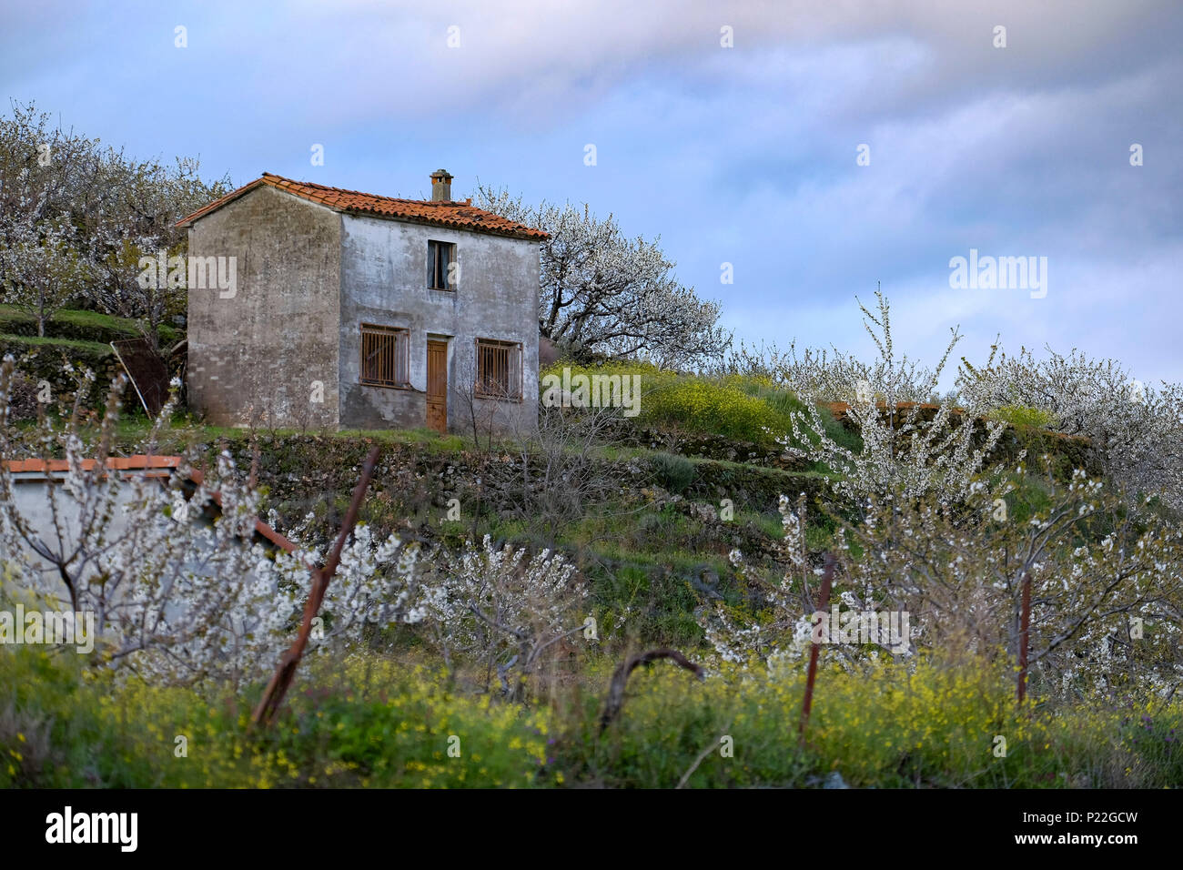 Ländliche Landschaft Landschaft im Valle del Jerte Tal in der Extremadura in Spanien Stockfoto