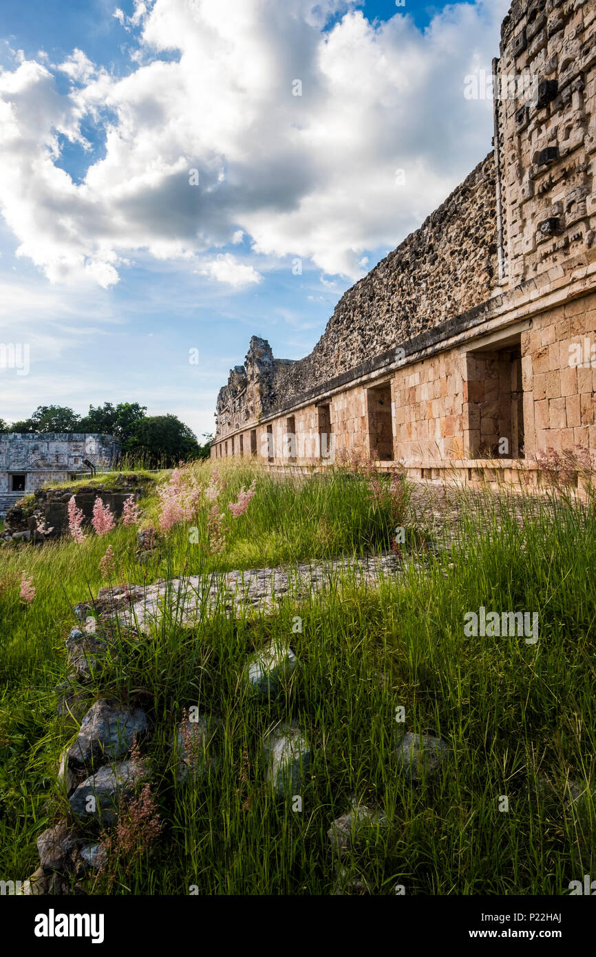 Alten Maya Ruinen, Nonnenkloster Viereck, Uxmal Archäologische Stätte, Yucatan, Mexiko Stockfoto
