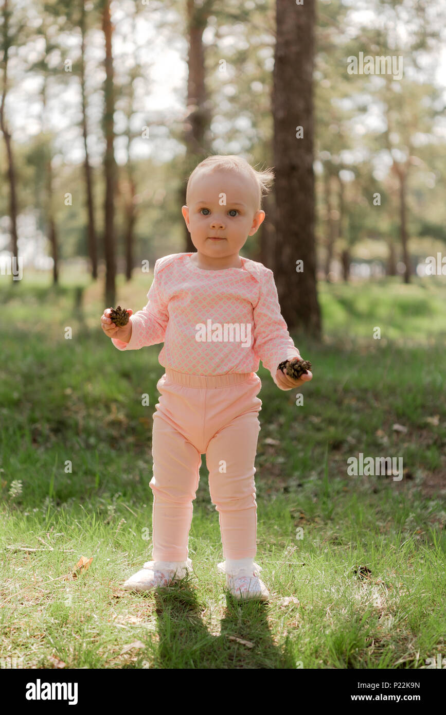 Das Baby hält zwei Kegel in den Tannenwald gegen das grüne Gras in einem rosa Anzug und sieht hinter der Kamera Stockfoto