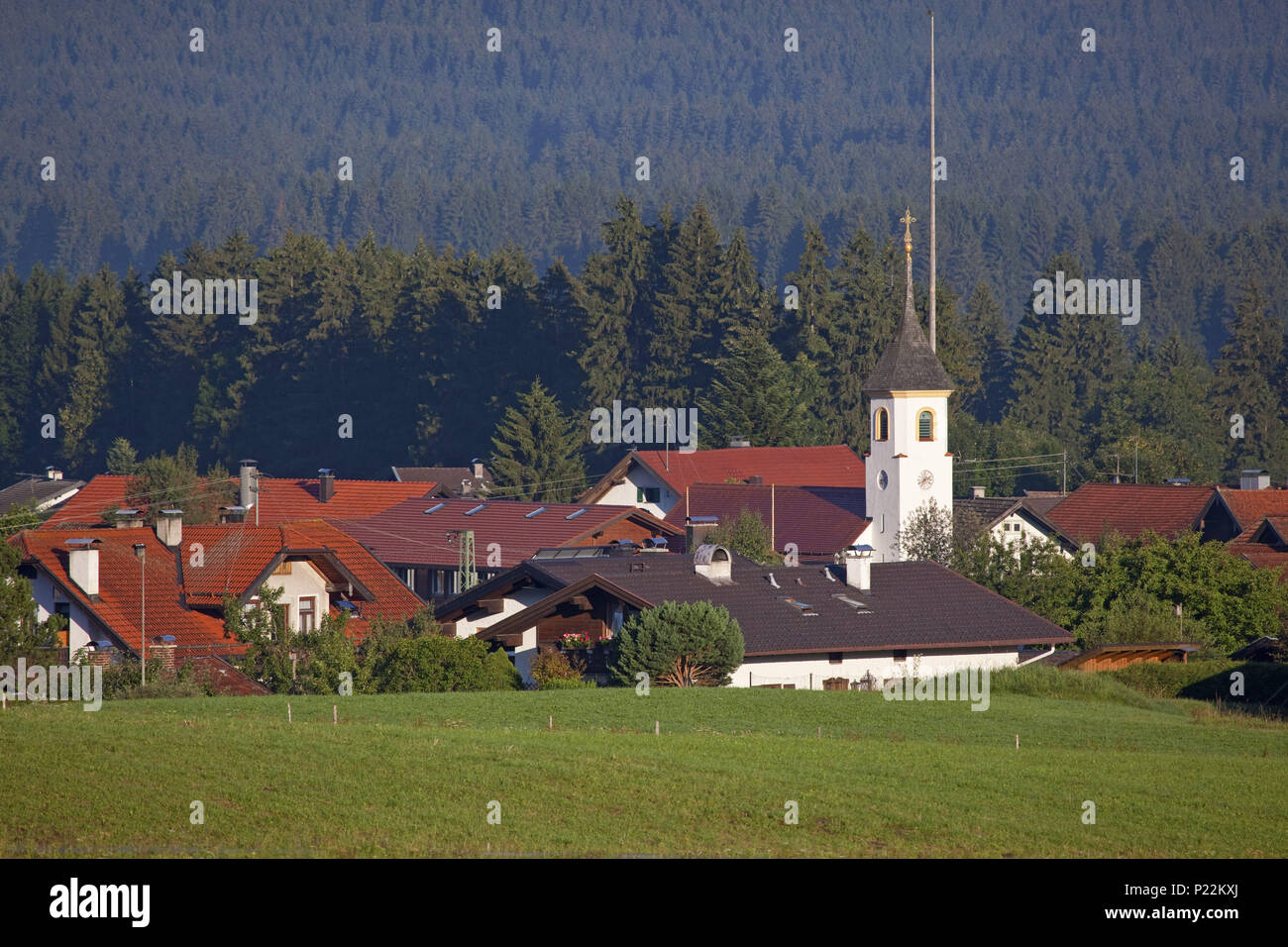 50+ Garten In Altenau Kaufen, 297.000 € 124,90 m² 4 zi.