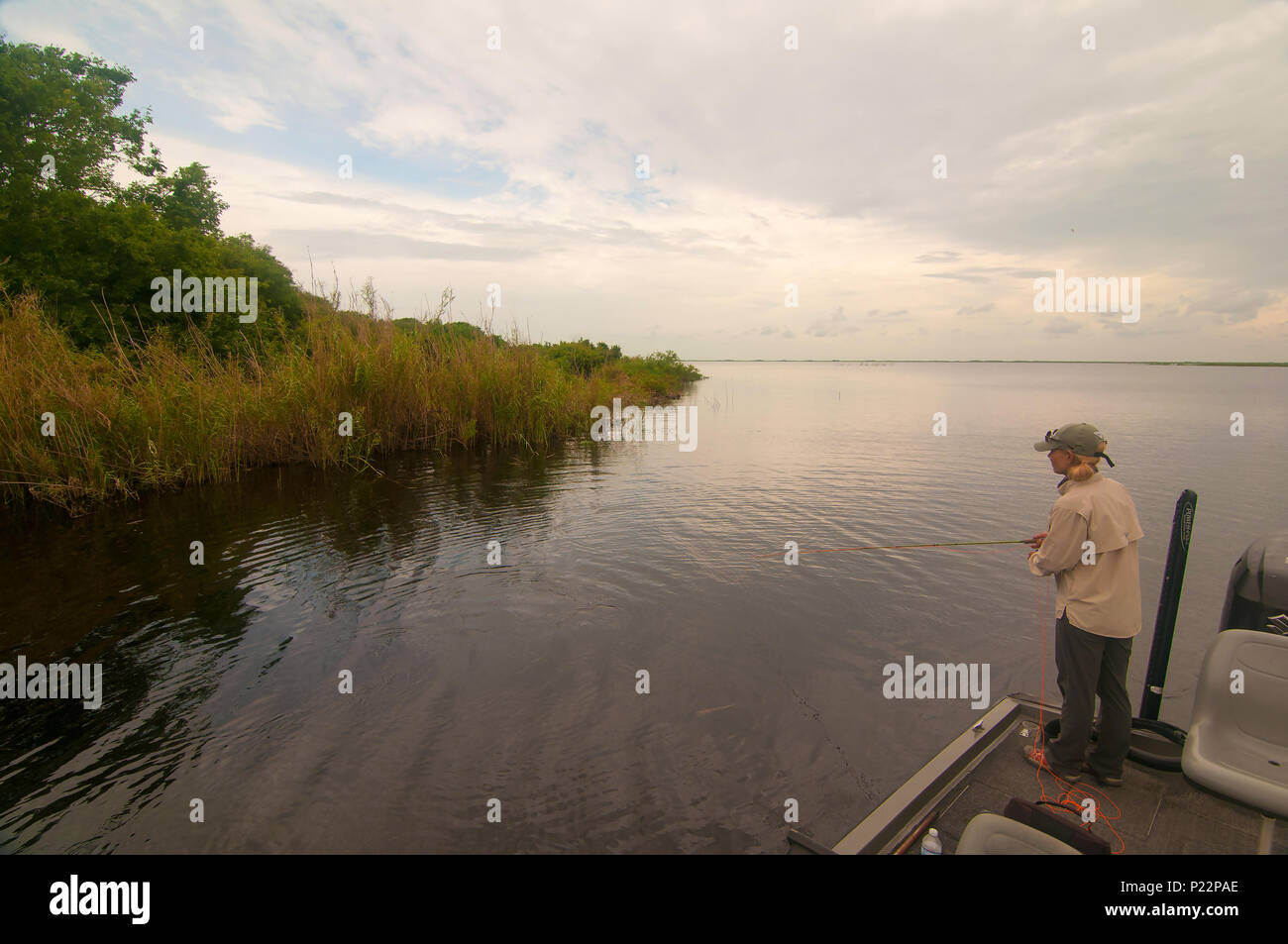 See Okeechobee ist einer der oberen Fliegenfischen Seen in den USA Largemouth bass & Sonnenfisch hängen in flachen Gewässern mit dichter Vegetation. Stockfoto