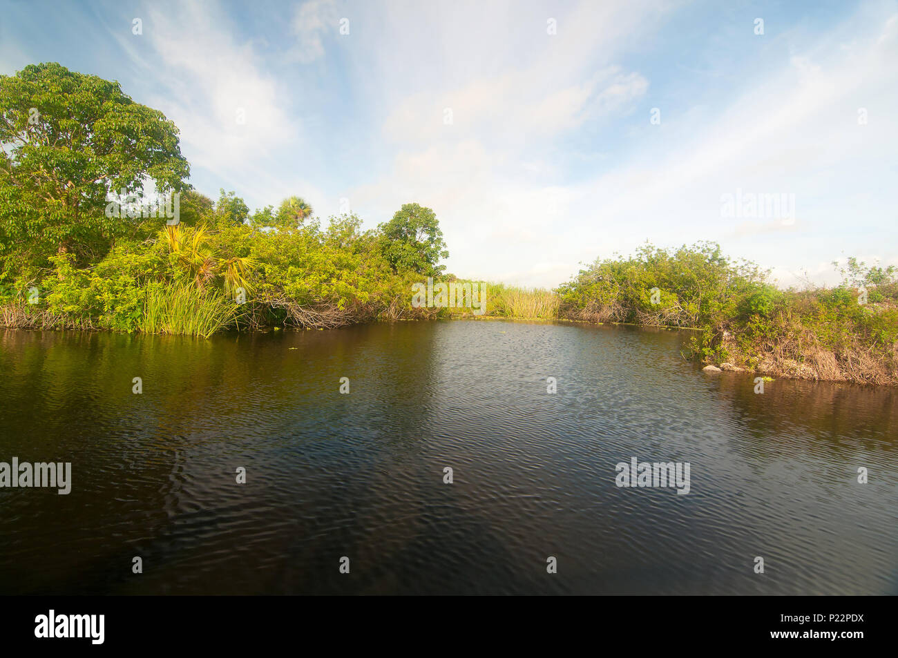 Den Caloosahatchee in der Nähe von Lake Okeechobee ist einer der oberen Largemouth bass Flüsse in den USA gibt es auch Snook, tarpon in diesen Gewässern. Stockfoto