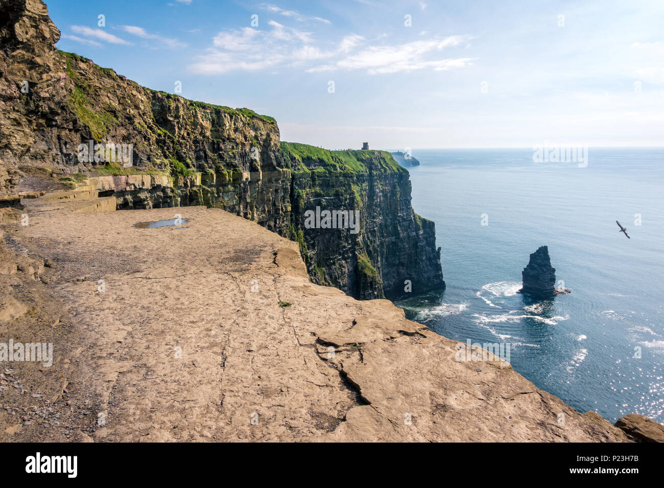 Meerblick auf die Cliffs of Moher in Irland Stockfoto