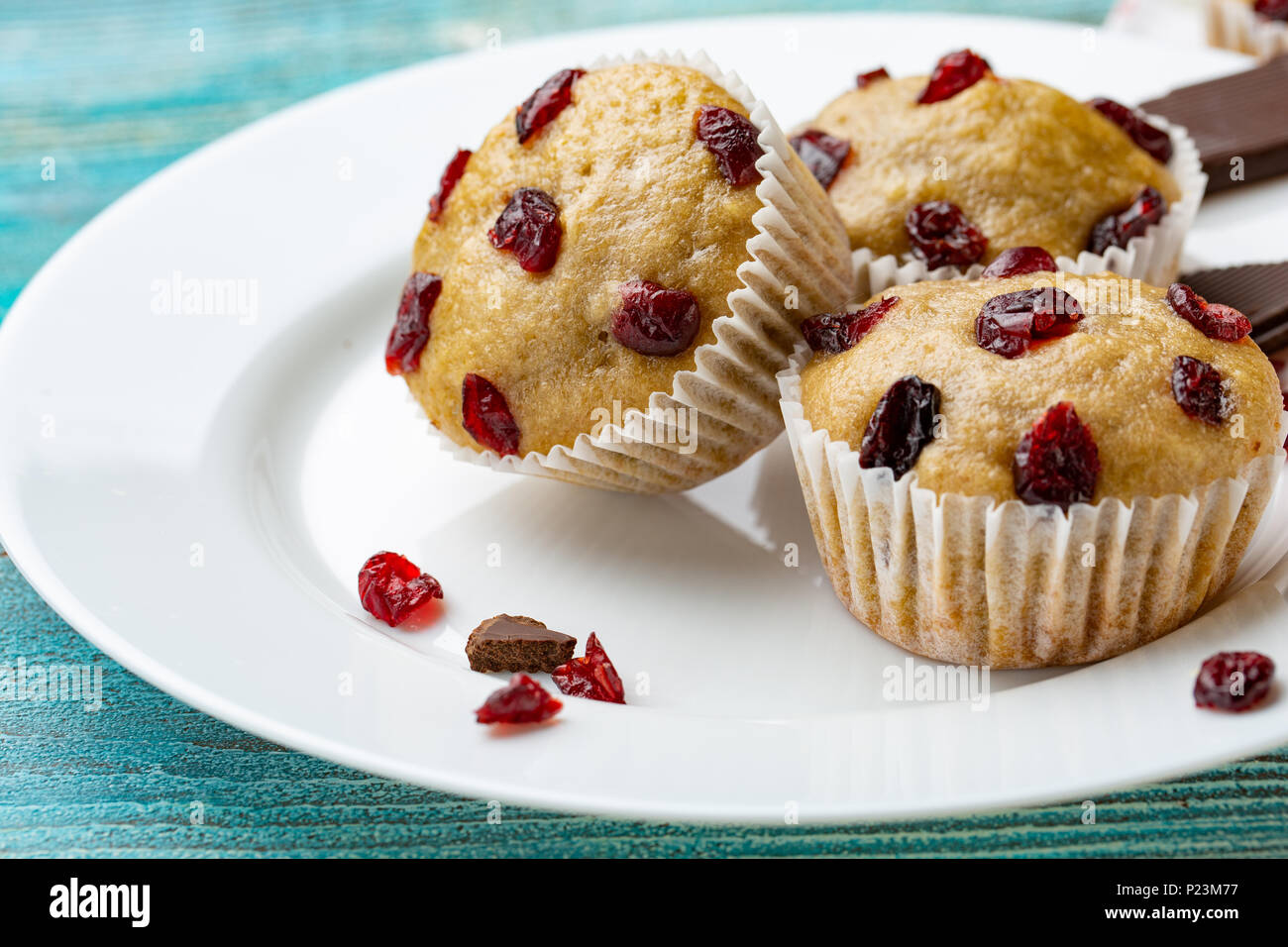 Vanille Muffins mit getrockneten Kirschen auf den weißen und blauen Holzmöbeln rustikal Tisch. Schokolade Stockfoto