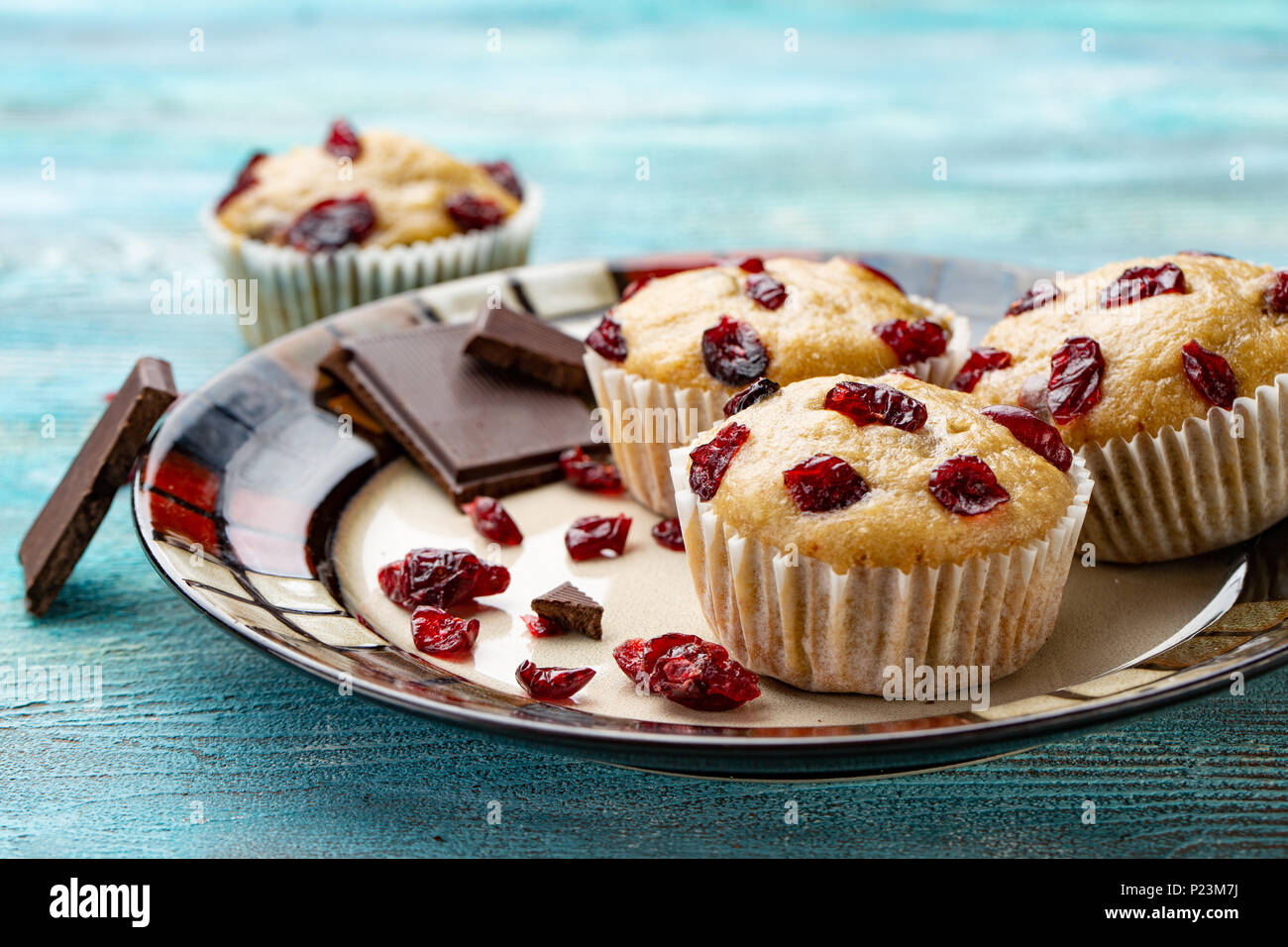 Vanille Muffins mit getrockneten Kirschen auf den weißen und blauen Holzmöbeln rustikal Tisch. Schokolade Stockfoto