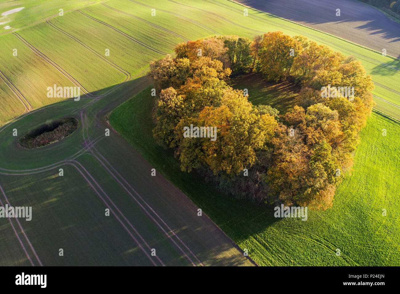 Ding/Alping in Neuhorst im Oldenburger Wall Stockfoto