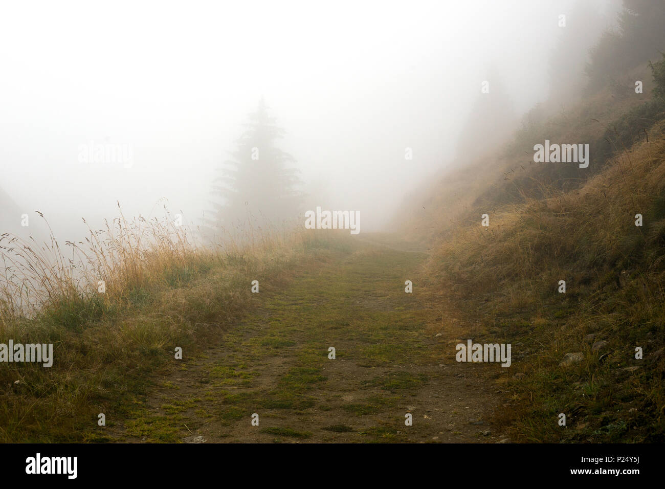 Riederalp, Schweiz, Nebel in den Bergen Stockfoto