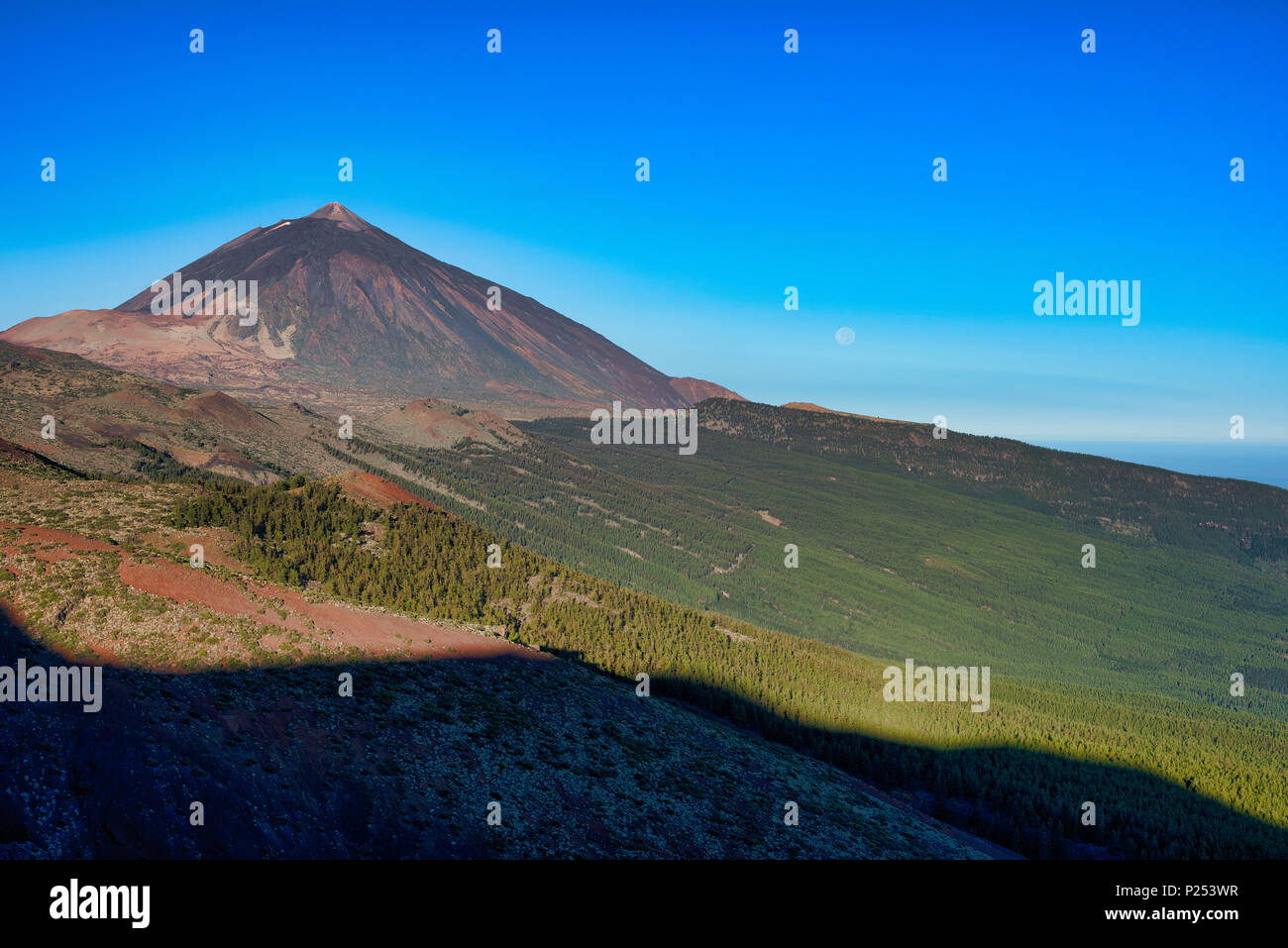 Pico del Teide bei Sonnenaufgang, Nationalpark Teide, Teneriffa, Kanarische Inseln, Spanien Stockfoto