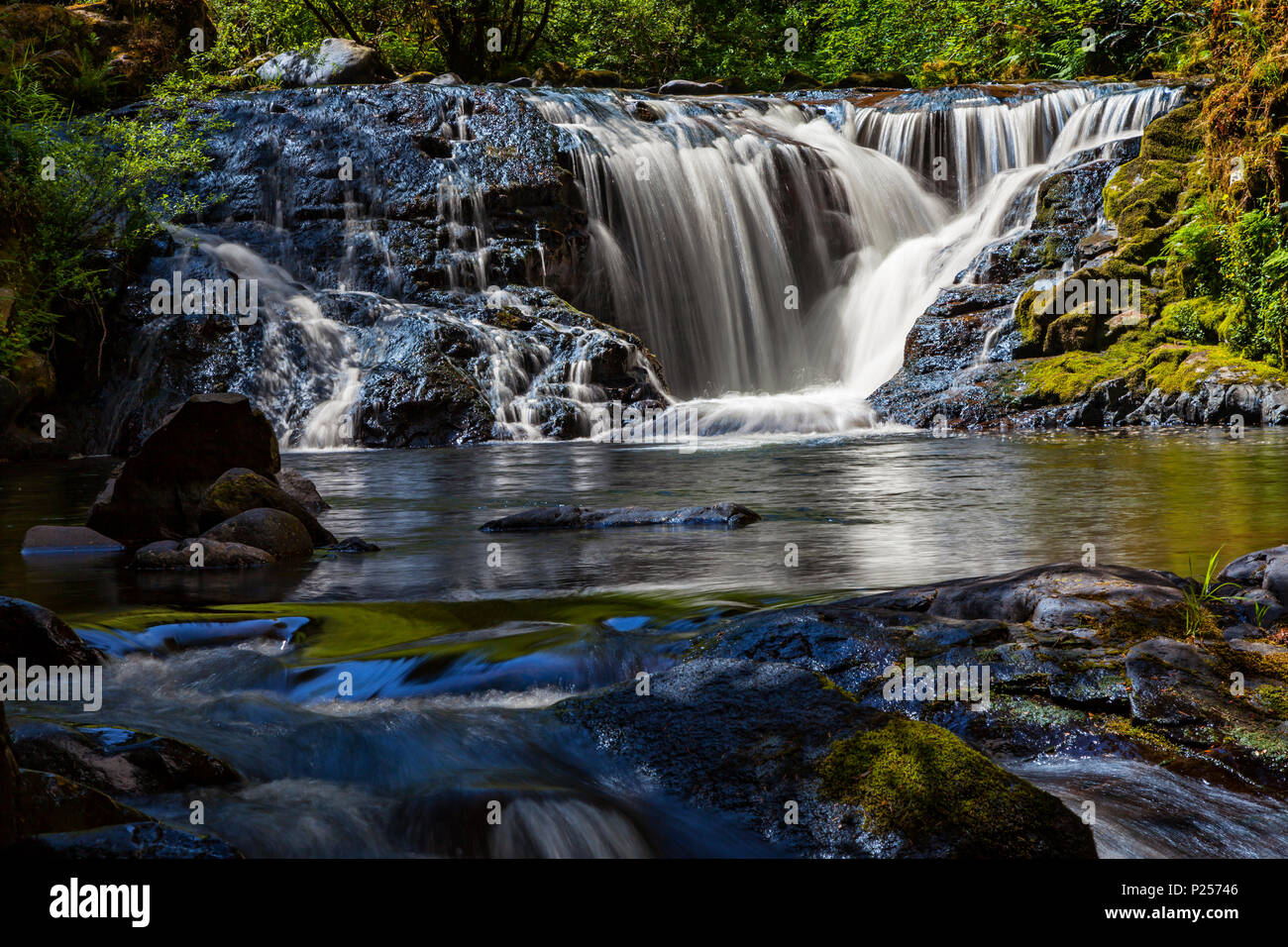 Eine der vielen Kaskaden und Wasserfällen entlang Süße Creek in Oregon Suislaw National Forest. Stockfoto