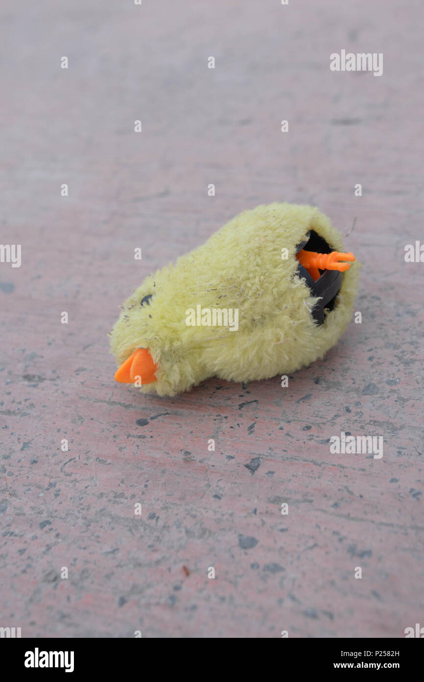 Kleine Küken Spielzeug hinter sich gelassen in den Park. Stockfoto