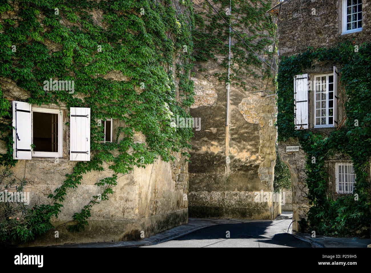 Lane in dem alten Dorf Bize Minervois, Fassade, Fenster, Kletterpflanze Stockfoto