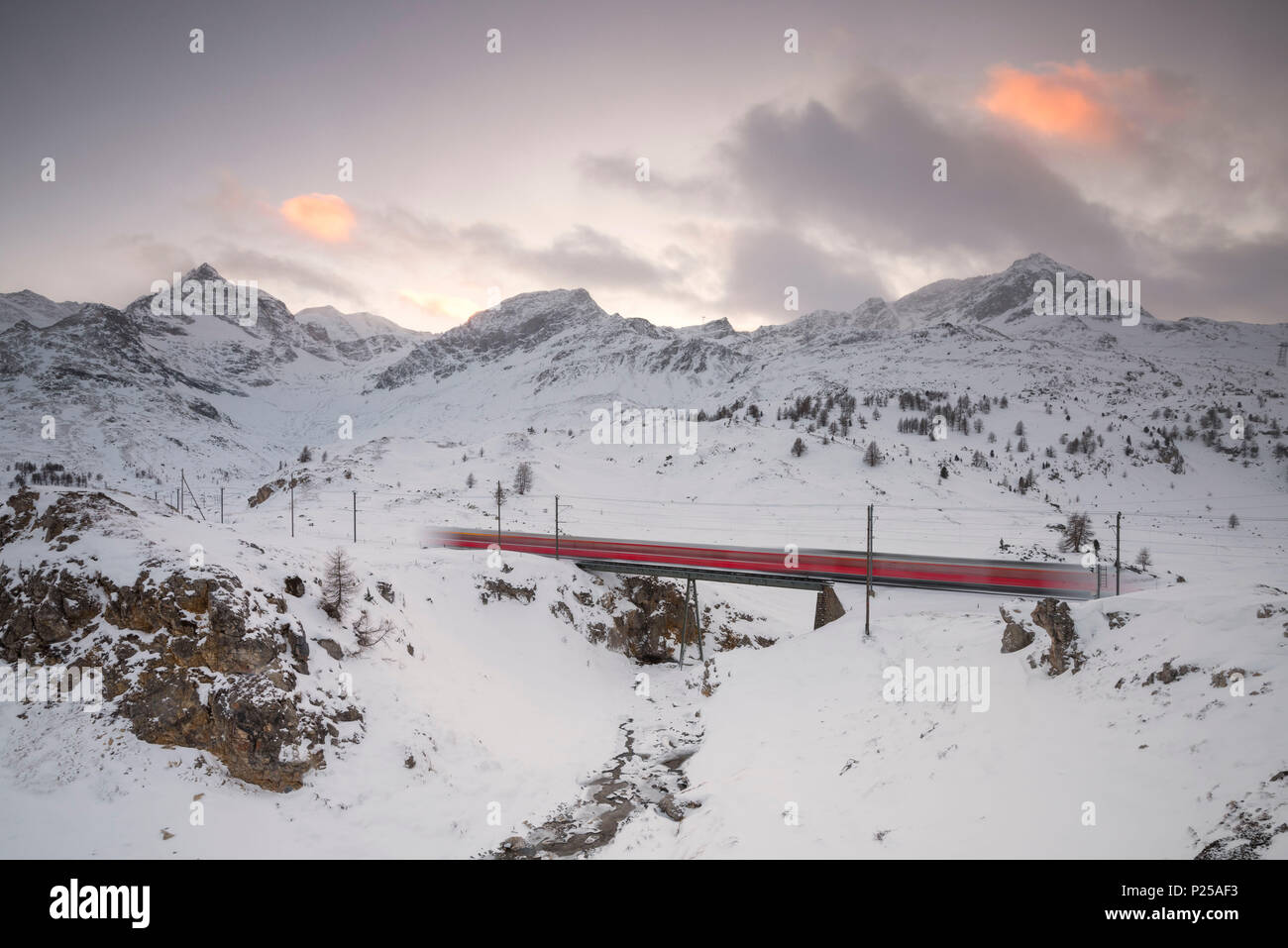 Bernina Express führt durch die verschneite Landschaft in der Nähe Bernina Pass, Kanton Graubünden, Engadin, Schweiz, Europa Stockfoto