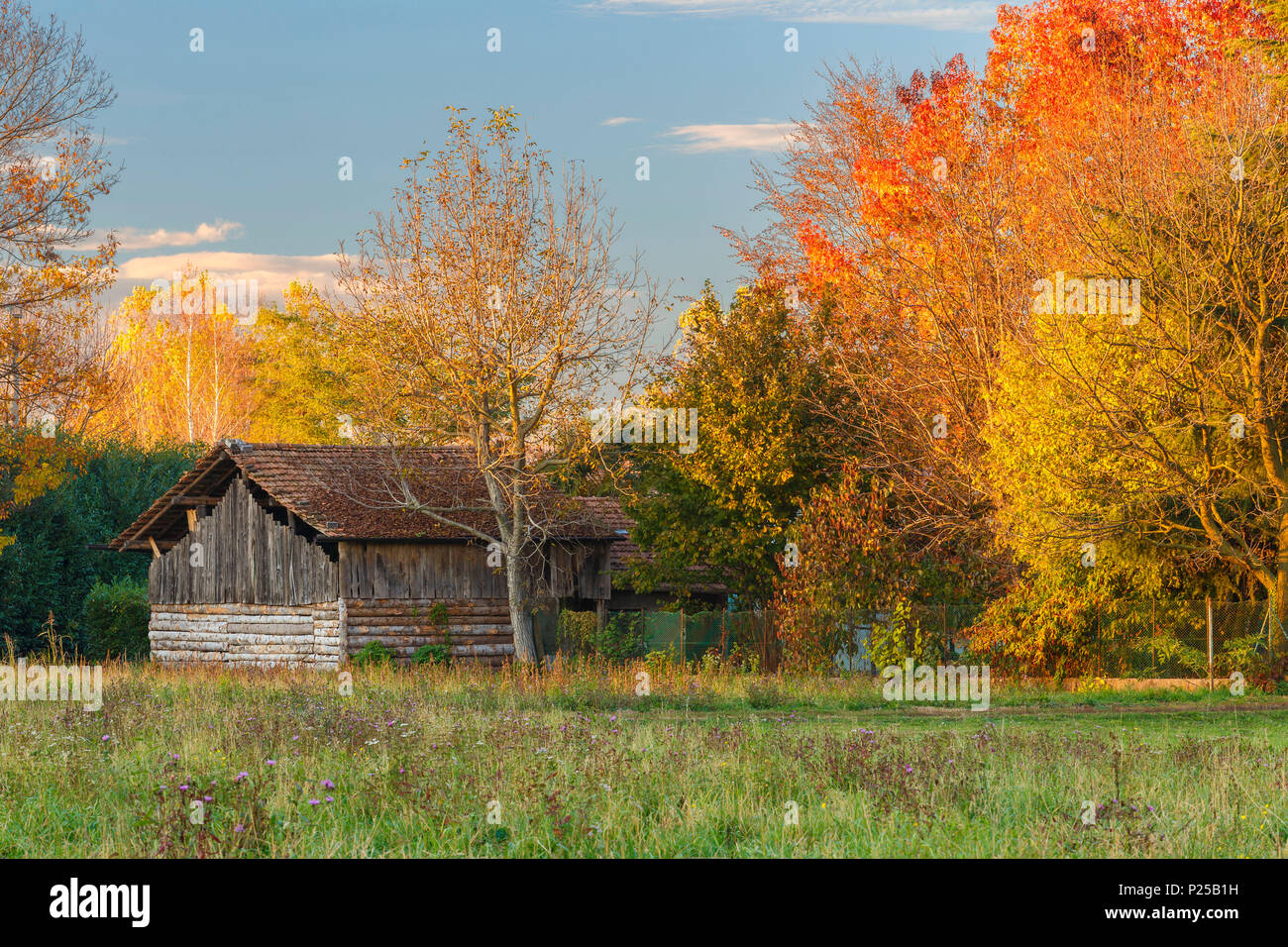 Herbst in einer Landschaft, in der Provinz Como, Lombardei, Italien, Europa Stockfoto