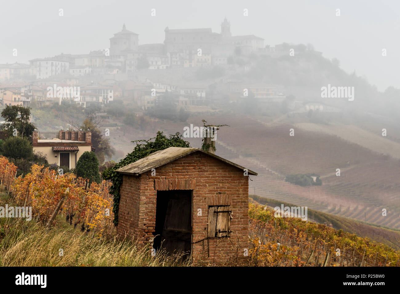 Langhe, Cuneo, Piemont, Italien. Barolo wein Region, La Morra Dorf Stockfoto