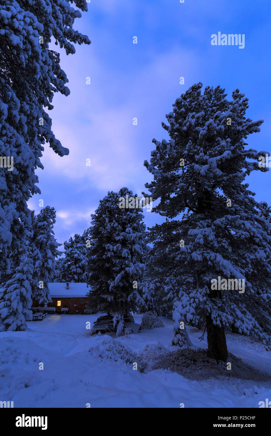 Einsames Haus in den verschneiten Wald, Erbe, Villnösser Tal, Südtirol, Dolomiten, Italien Stockfoto