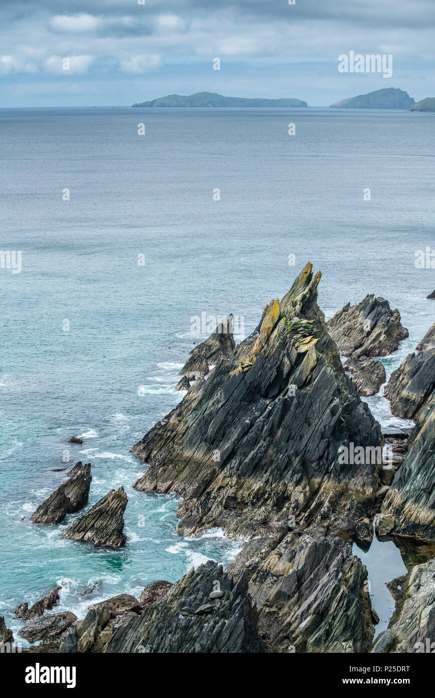 Slea Head, der Halbinsel Dingle in der Grafschaft Kerry, Munster region, Republik Irland, Europa. Stockfoto