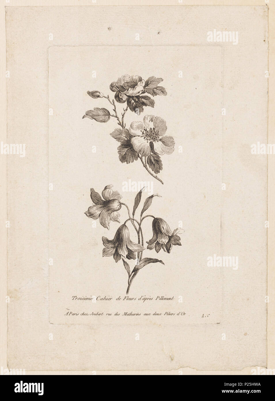 . Englisch: Drucken (Frankreich). Vor 1920 (Eingangsdatum) 238 Drucken (Frankreich) (CH) 18212437 Stockfoto