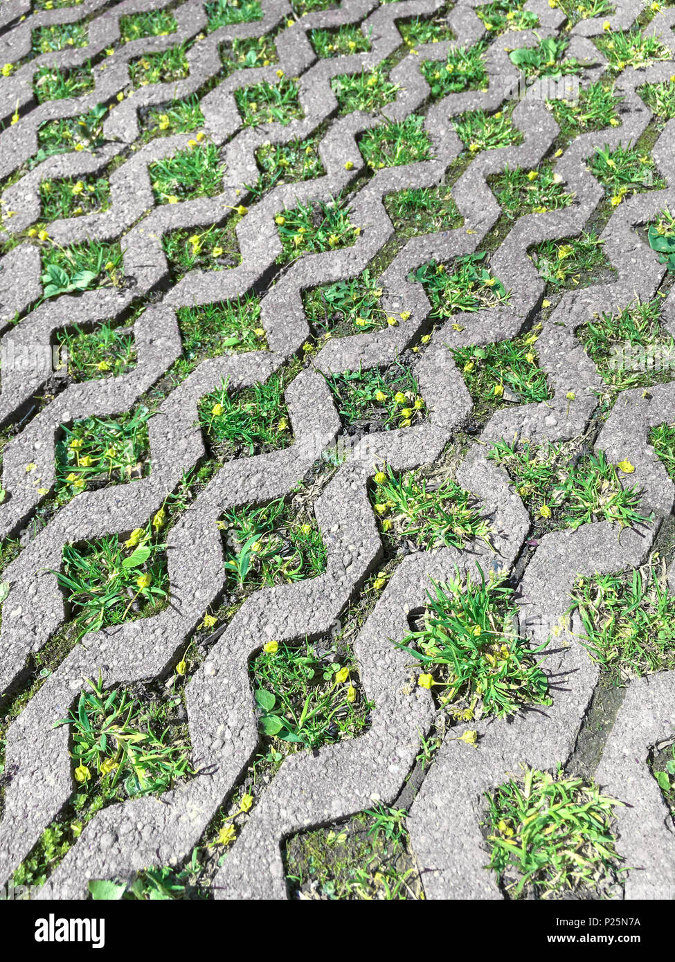 Grauer Beton Pflastersteine Und Grunes Gras Auf Wanderweg In