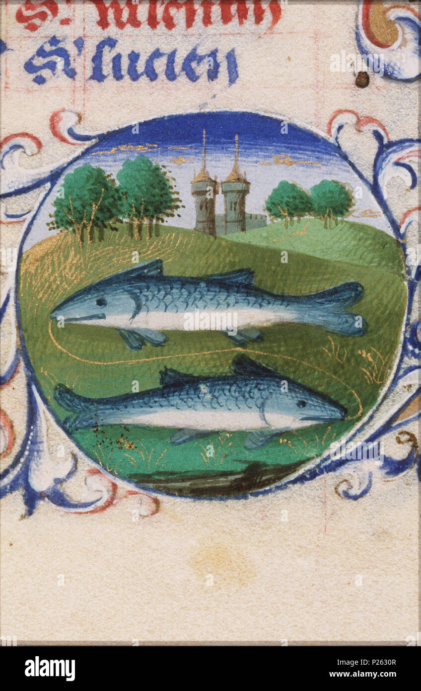 . Februar - Fische - Miniatur aus Folio 089 rfrom Stundenbuch von Simon de Varie-KB74G 37a. Februar - Fische - Miniatur aus Folio 089 r aus dem Buch von Simon de Varie-KB74G 37a Themen in dieser Miniatur Fische dargestellt (Tierkreiszeichen Februar) (23 O13) Diese Miniatur ist Teil von Folio 089 r. 1455 123 Februar - Fische - das Buch der Stunden Simon de Varie-KB74G 37a - 089 r det randv 2 Stockfoto