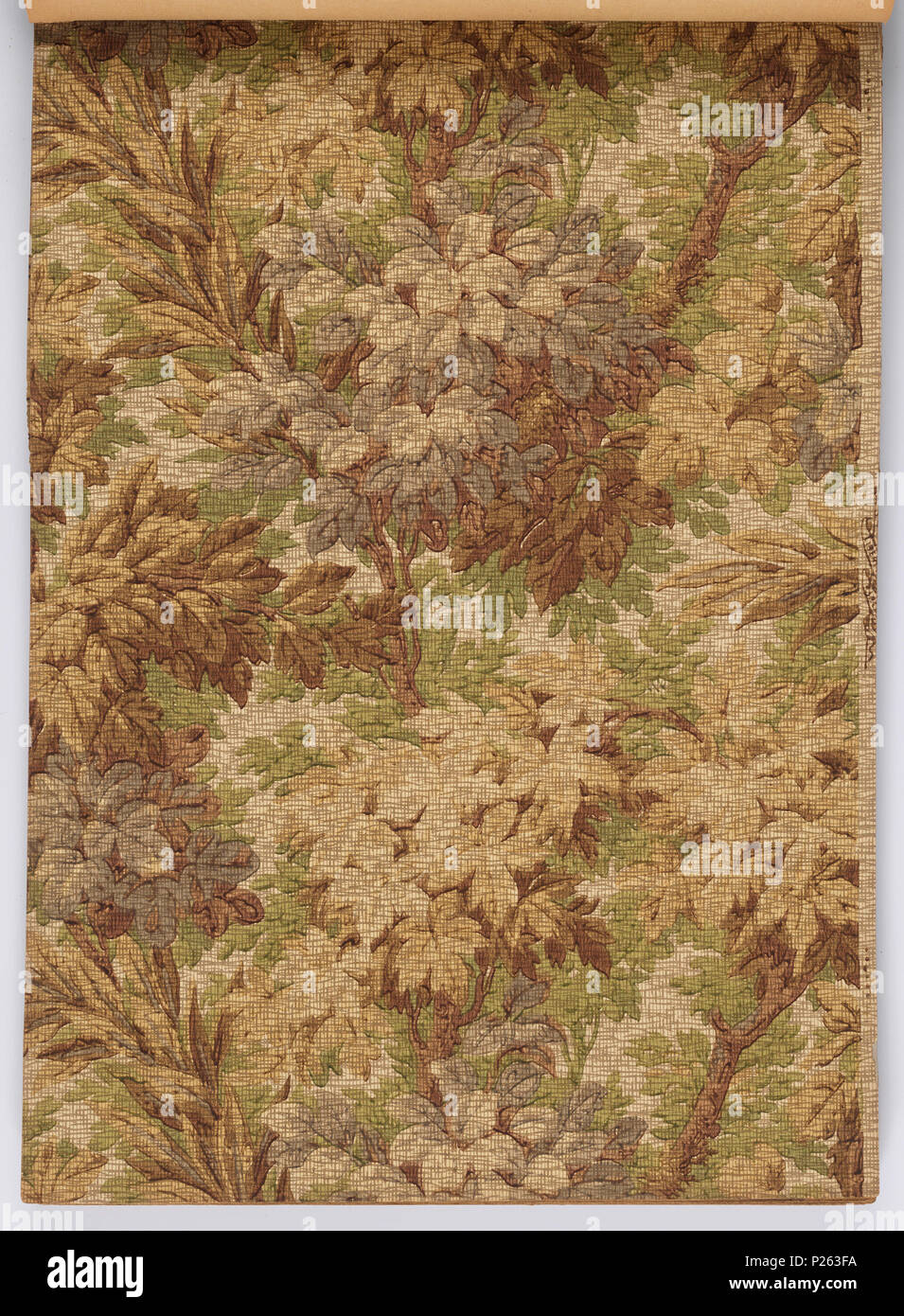 . Englisch: Musterbuch (USA), Ca. 1915. Deutsch: 179 Seiten (inkl. Top Grenzen; nicht. inkl. angeschlossenen unteren Grenzen oder Fabric swatches) Tapestry, Landschaft, Raufaser und Haferflocken Papiere, viele Ton in Ton. Einige Seitenwände haben die oberen und unteren Grenzen. Einige haben Tiffany und Flitter Grenzen. Hoher Hinterschnitt, Grenzen sowie die Grenzen schneiden. Einige Seitenwände sind eingeprägt und/oder Leder simulieren gedruckt. Einige haben passende Fabric swatch befestigt. Einige Grenzen haben das Aussehen der Airbrush. Einige Seitenwände erscheinen Intaglio gedruckt werden. Florale Streifenmuster für Schlafzimmer und Stockfoto