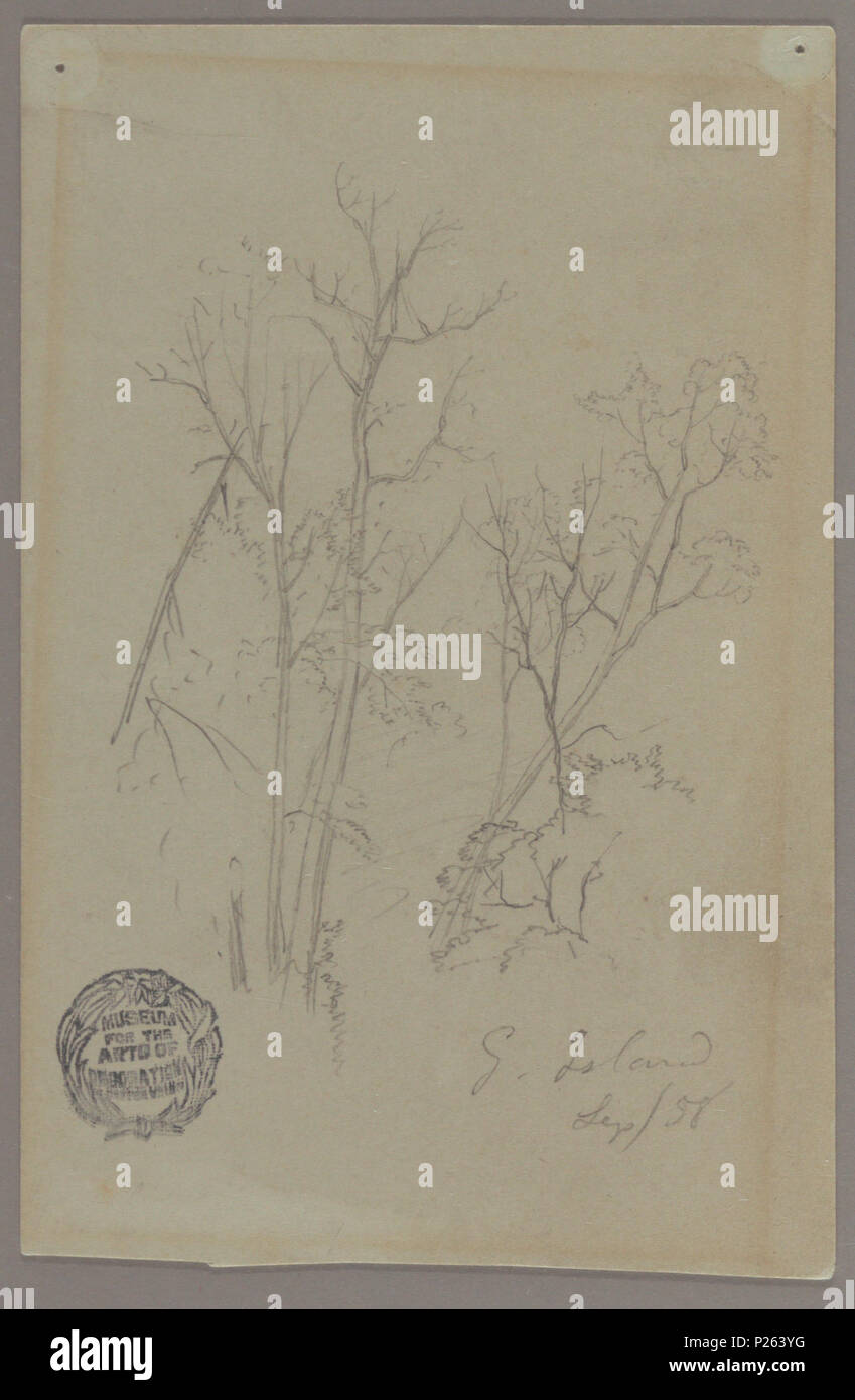 . Englisch: Zeichnung, Bäume auf Goat Island. Vor 1917 (Eingangsdatum) 112 Zeichnung, Bäume auf Goat Island (CH) 18193527 Stockfoto