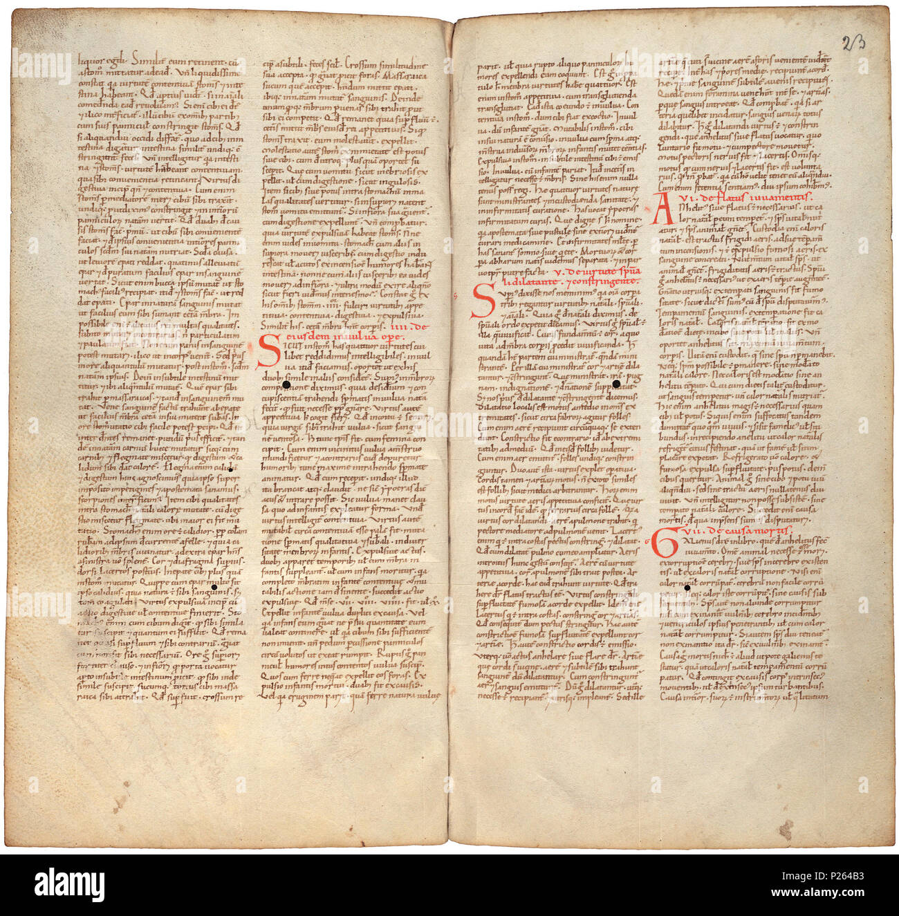 . Pantegni pars prima theorica (lib. I-X) - FOLIOS 022 V (links) und 023 r (rechts). Linken seite Folio 022 V; rechte Seite Folio 023 r aus dem 11. Jahrhundert Kopie des Liber pantegni. Dies ist die früheste bekannte Kopie (vor 1086) des Liber pantegni, am Monte Cassino unter der Leitung von Konstantin der Afrikanischen gemacht. Es widmet sich der Abt Desiderius von Monte Cassino (1027-1087), bevor er Papst wurde Victor III. Hintergrund Informationen in niederländischer und in englischer Sprache. . Konstantin der Afrikanischen (Ca. 1010-1098/9) 175 Liber pantegni-KB 73 J 6-Folios 022 V (links) und 023 r (rechts) Stockfoto