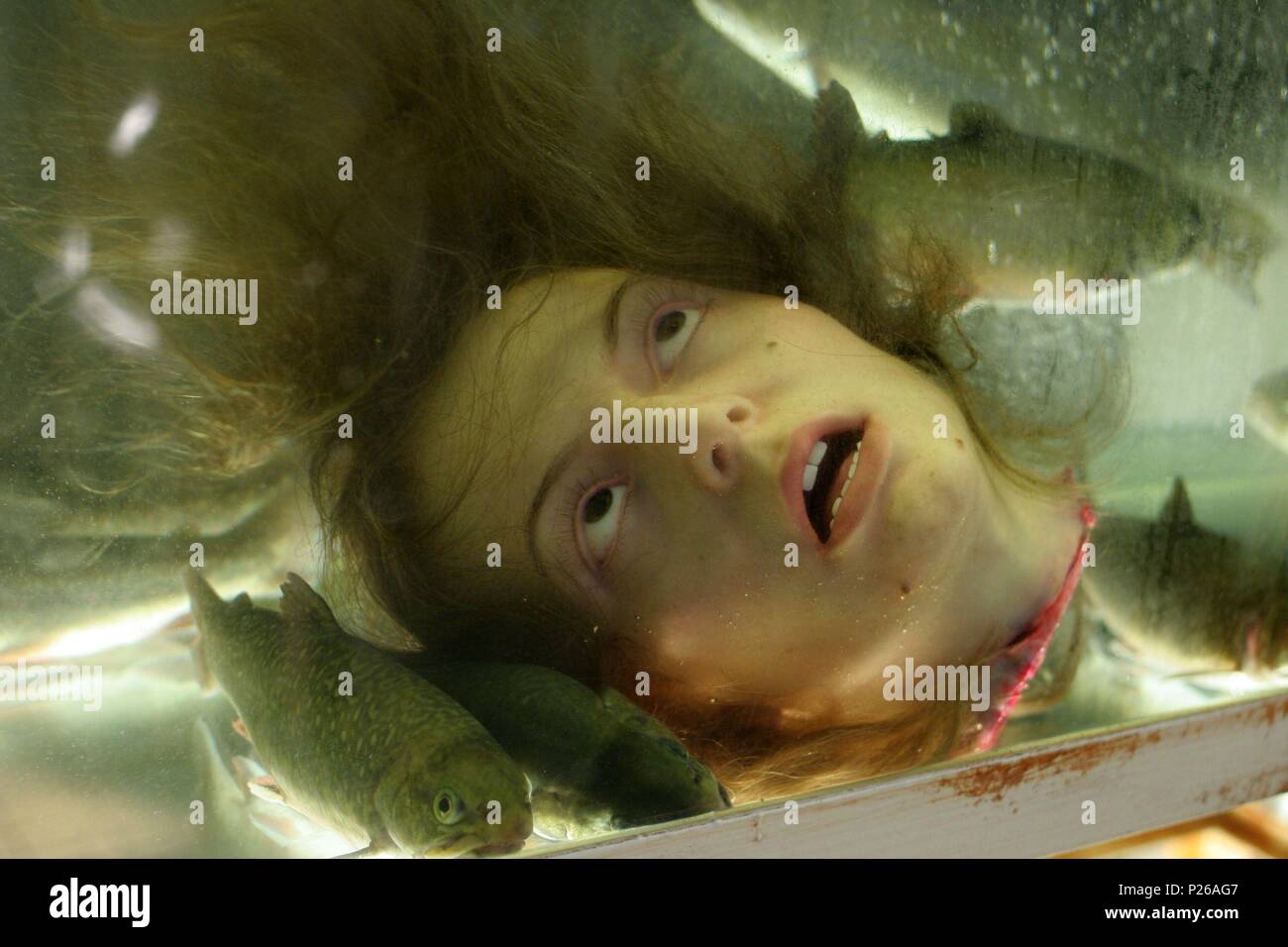 Original Film Titel: In 3 TAGEN BIST DU TOT. Englischer Titel: TOTE IN DREI TAGEN. Film Regie: Andreas Prochaska. Jahr: 2006. Credit: Allegro Film/Album Stockfoto