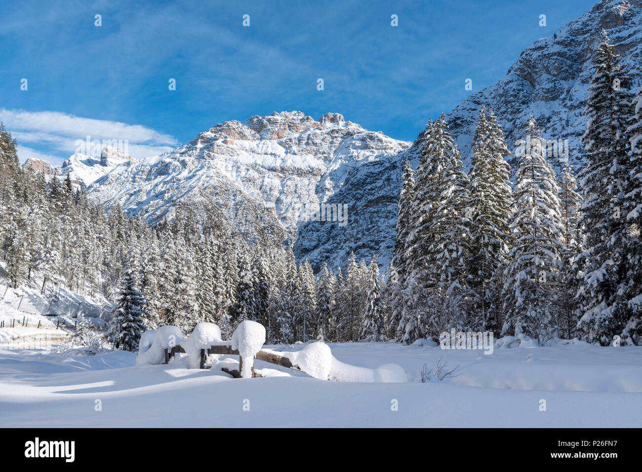 Schluderbach/Schluderbach, Toblach, Dolomiten, Provinz Bozen, Südtirol, Italien, Europa. Der Gipfel des Mount Rudo Stockfoto