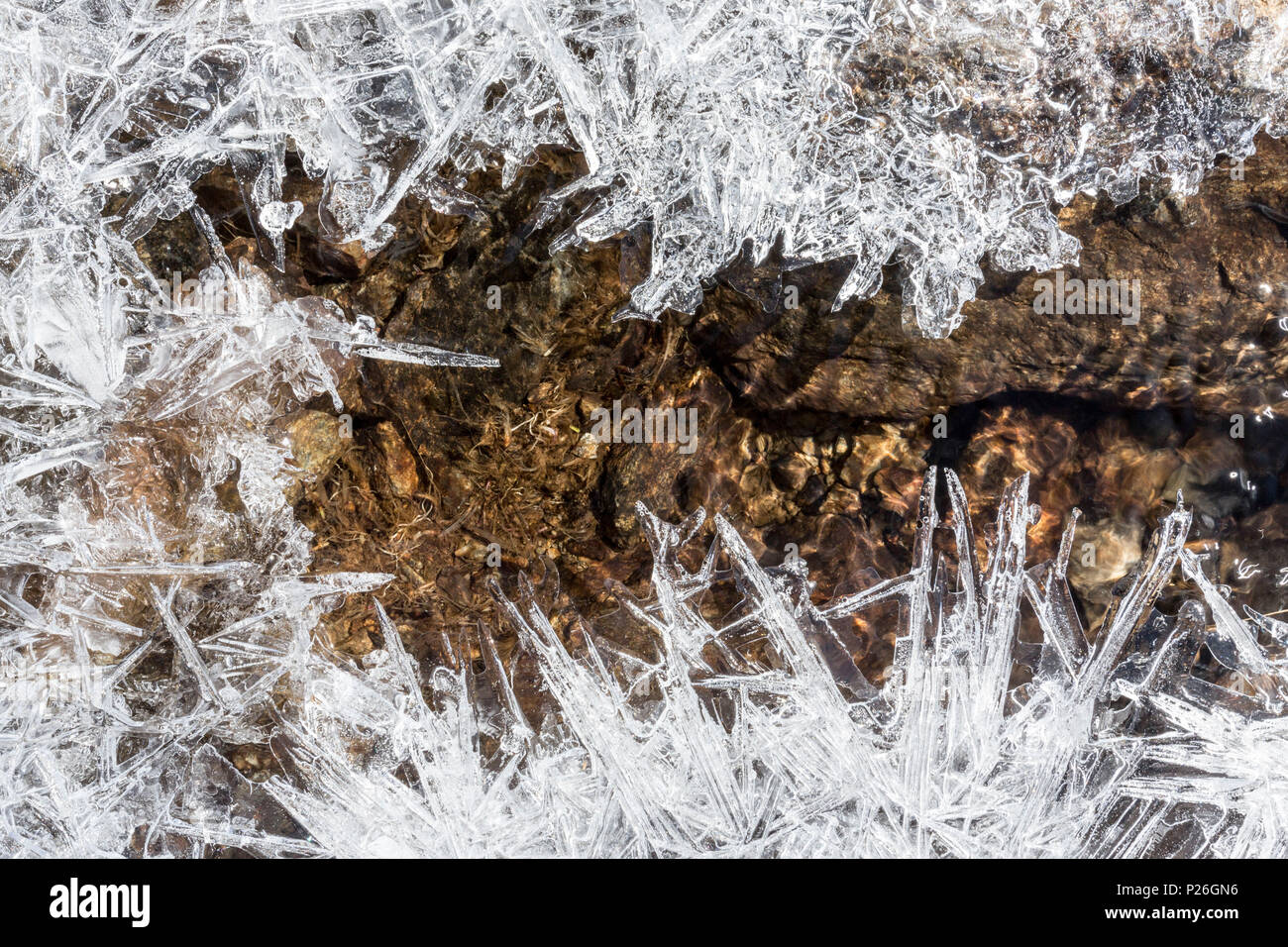Close-up und Details des Eises auf Felsen, Schweiz Stockfoto