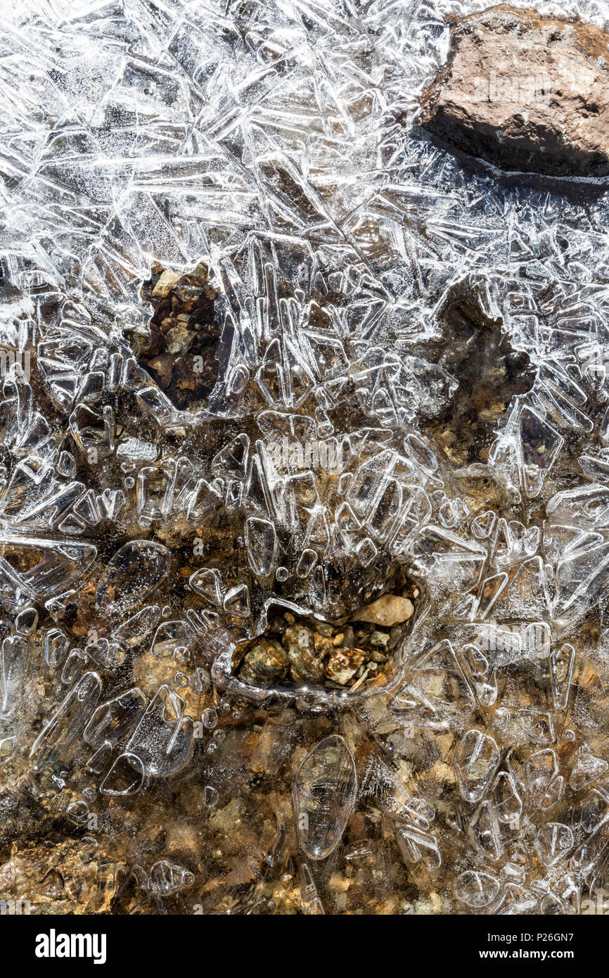 Close-up und Details des Eises auf Felsen, Schweiz Stockfoto