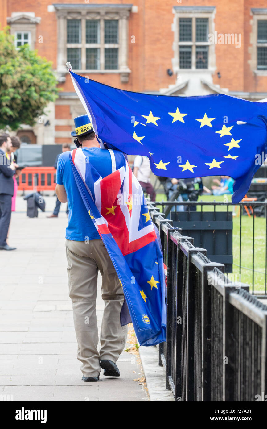 Westminster, London, UK, 13. Juni 2018; Anti Brexit Spoiler mit Fahnen geht weg von der Kamera. Volle Länge. Porträt Stockfoto