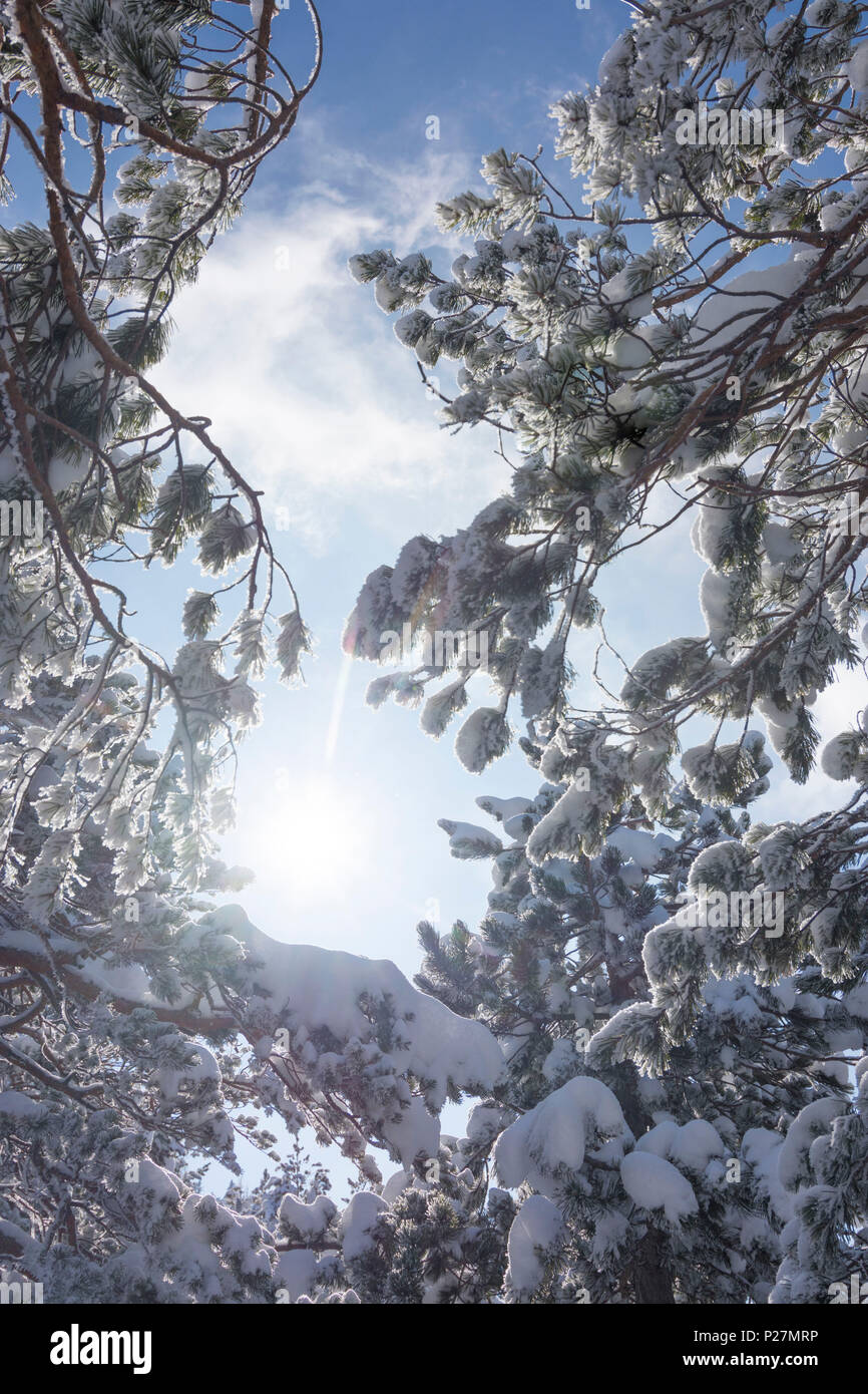 Semmering, Schnee bedeckt Niederlassungen, Sonne, Wien Wiener Alpen (Alpen), Lower Austria, Austria Stockfoto