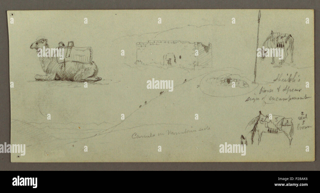 . Englisch: Zeichnung, Sitzen Kamel, zwei Pferde, Beweidung, Gebäude. Englisch: Verso: Zahlen, die ein Zelt, Hawk, Camel's Kopf. Vor 1917 (Eingangsdatum) 107 Zeichnung, sitzend Kamel, zwei Pferde, Beweidung, Gebäude (CH) 18203083 Stockfoto