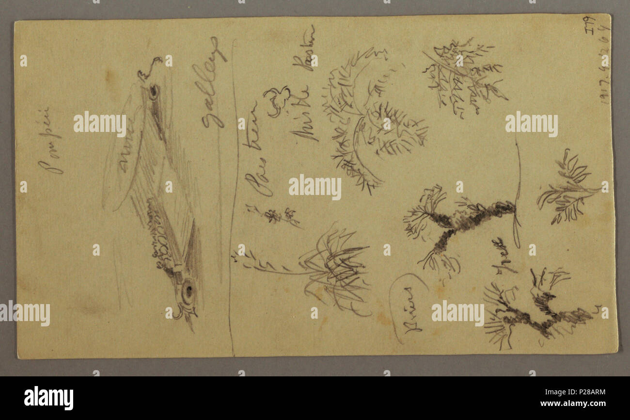. Englisch: Zeichnung, steile Bank durch den Fluss. Englisch: Verso: Pflanze und Baum Studien, Gallerys (1868/69?). Vor 1917 (Eingangsdatum) 107 Zeichnung, steile Bank durch den Fluss (CH 18193175-2) Stockfoto