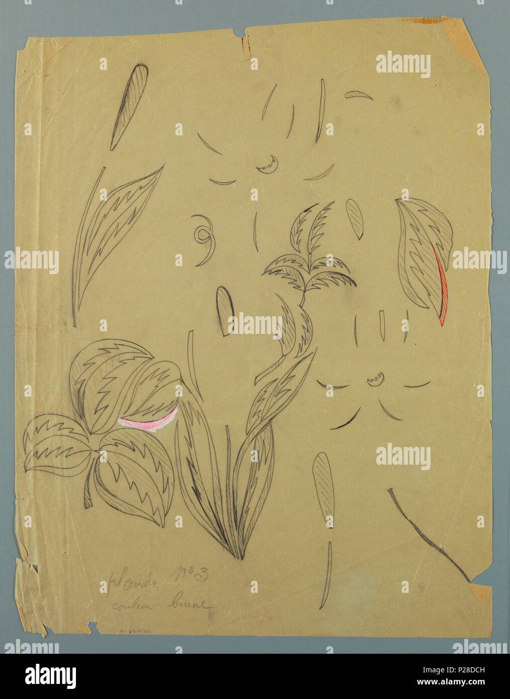 111 Zeichnung, Textildesign - tropische Blumen, 1912-13 (CH 18805383) Stockfoto