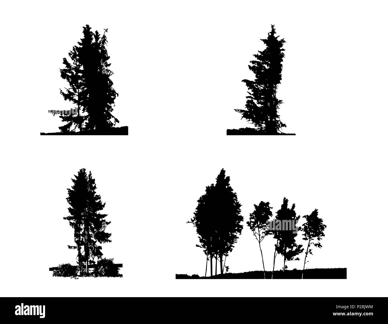 Satz von Baum Silhouette isoliert auf weißem Migrationshintergrund. Vecrtor Illustration Stock Vektor